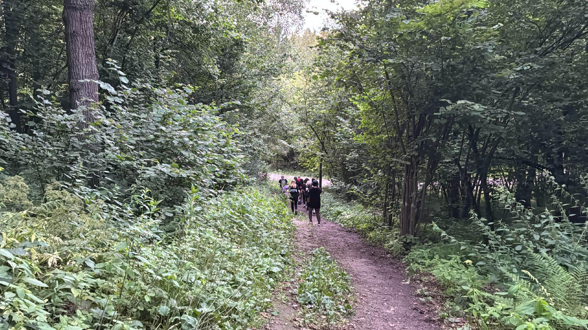 Краеведы Одинцова, Китежъ, Одинцовский парк, Краеведческий квест,