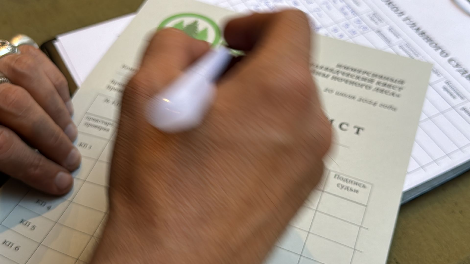 Краеведы Одинцова, Китежъ, Одинцовский парк, Краеведческий квест,