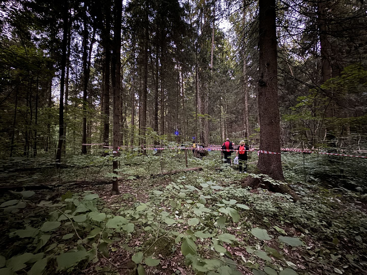 Краеведы Одинцова, Китежъ, Одинцовский парк, Краеведческий квест,