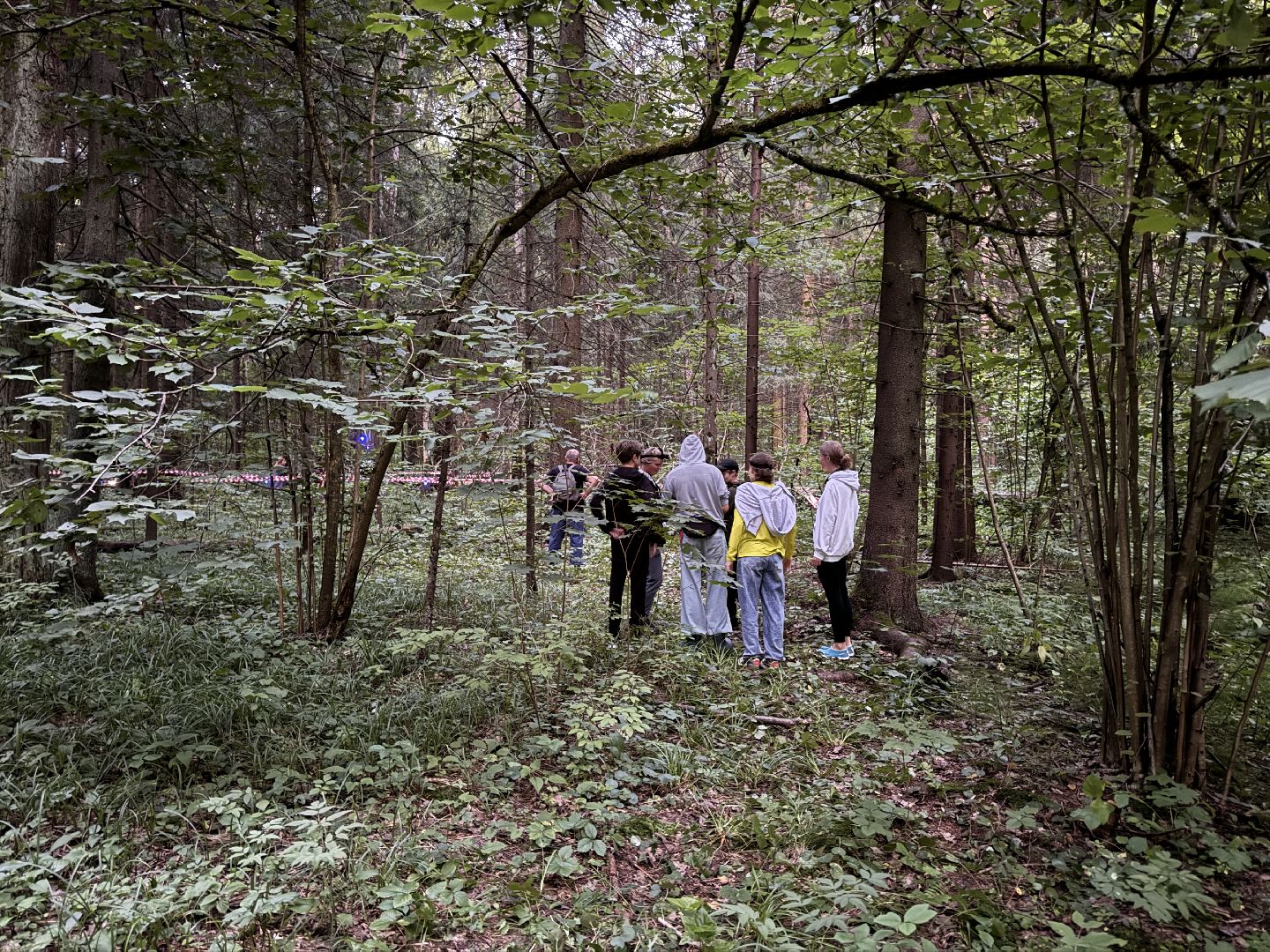 Краеведы Одинцова, Китежъ, Одинцовский парк, Краеведческий квест,