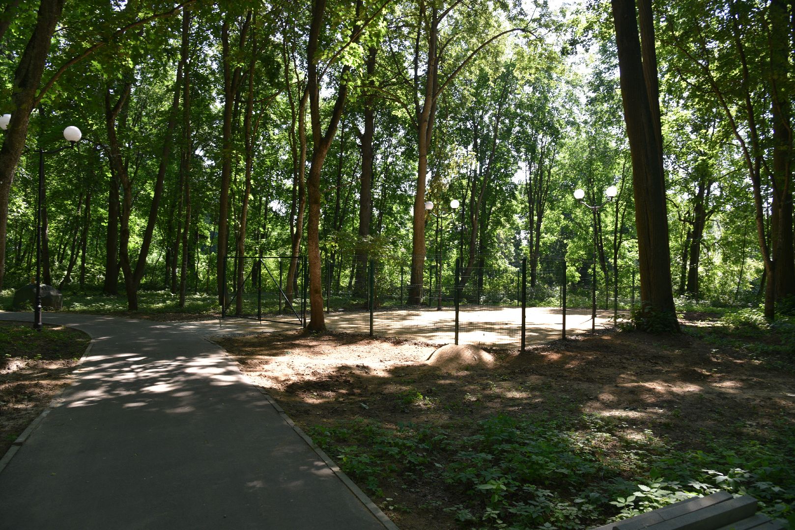 лотошино, лотошинский парк, парки подмосковья, зона для пикника,