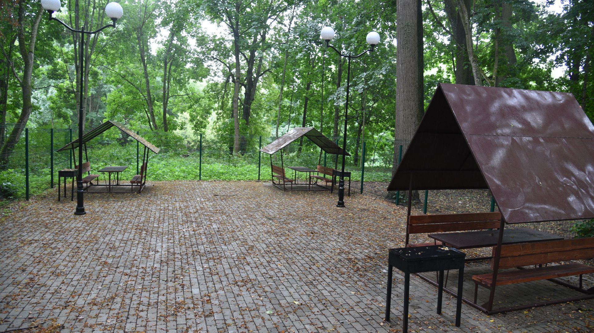 лотошино, лотошинский парк, парки подмосковья, зона для пикника,