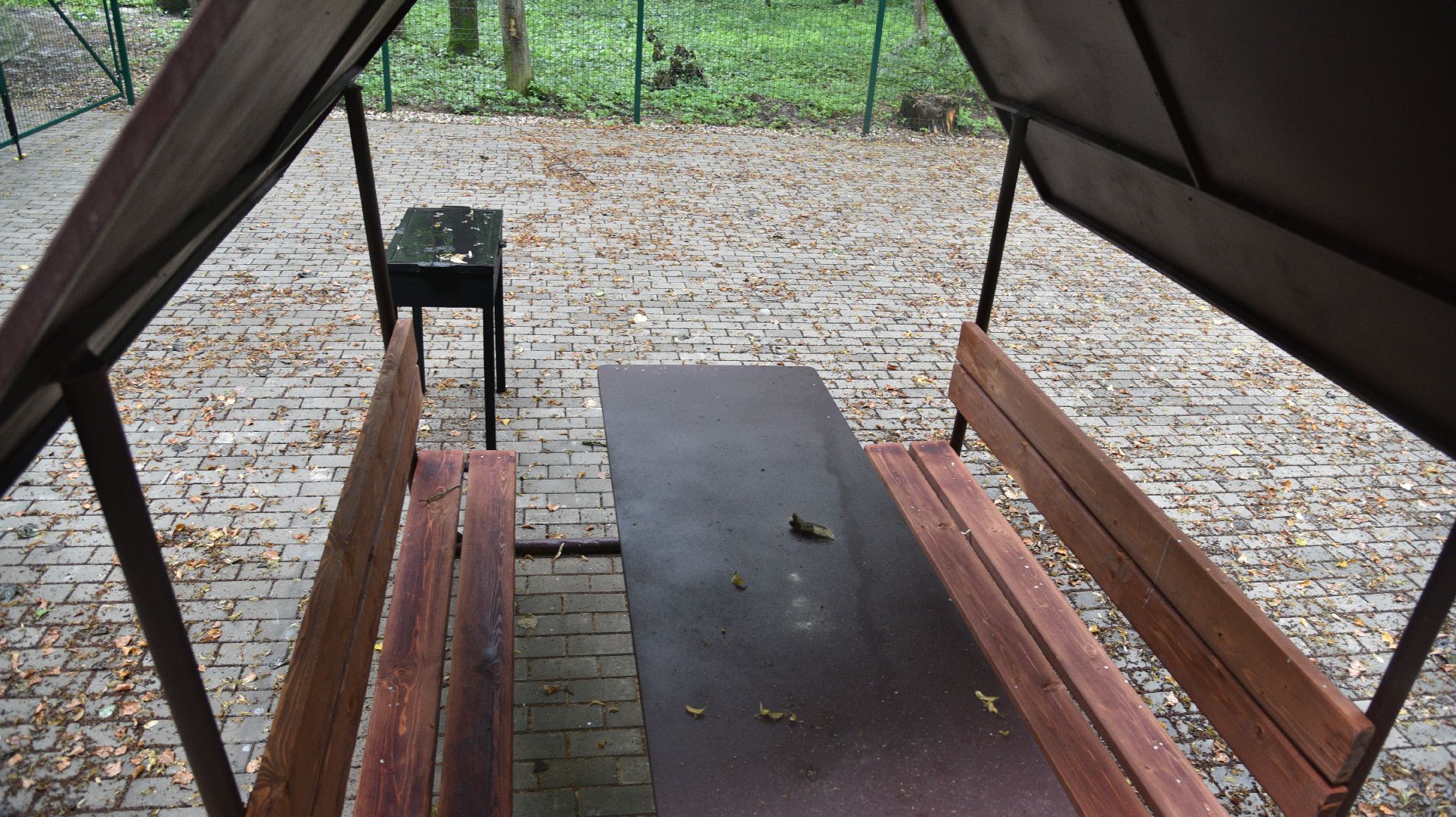 лотошино, лотошинский парк, парки подмосковья, зона для пикника,