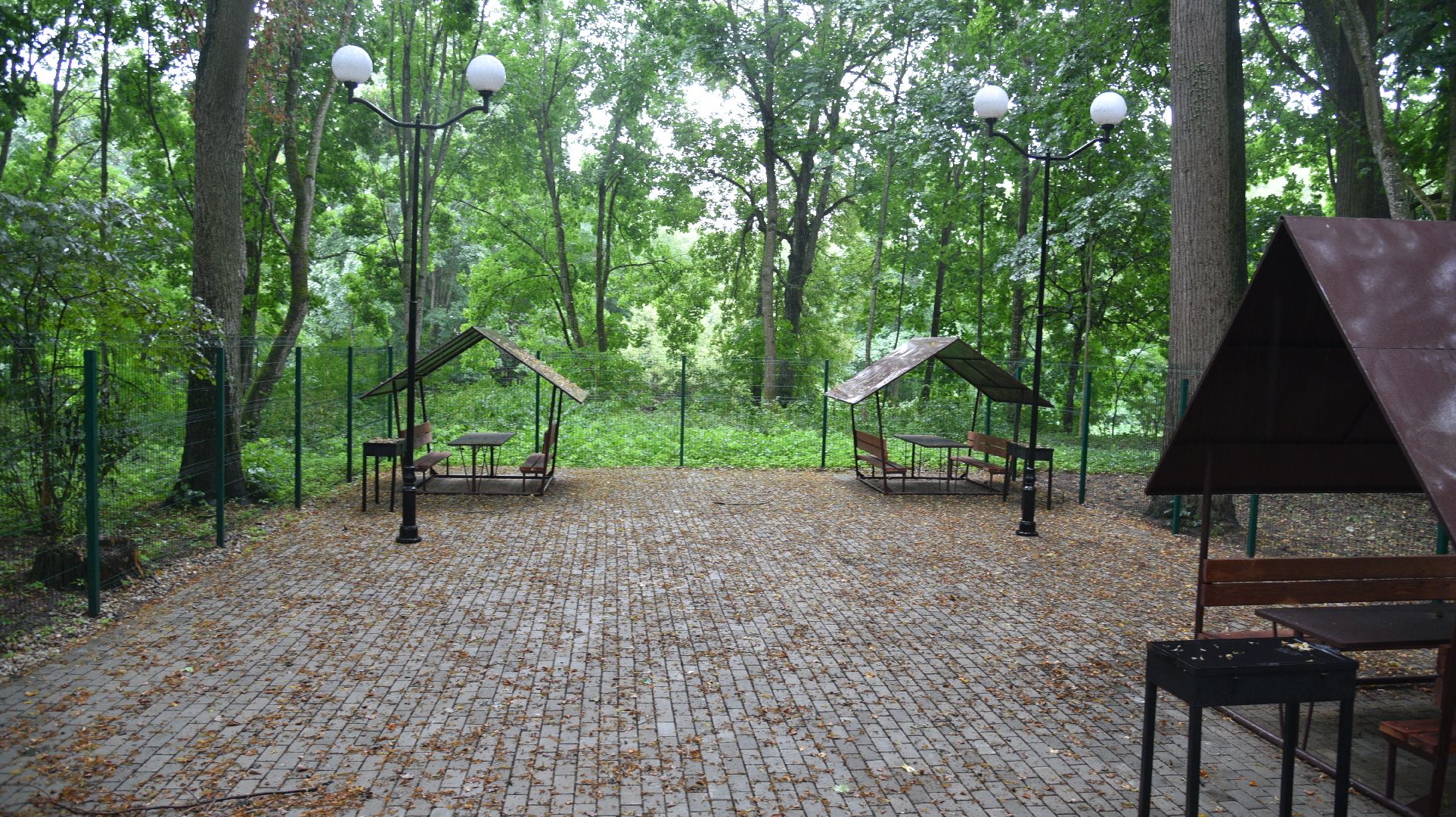 лотошино, лотошинский парк, парки подмосковья, зона для пикника,