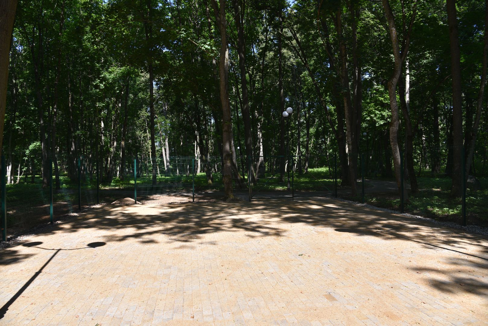 лотошино, лотошинский парк, парки подмосковья, зона для пикника,