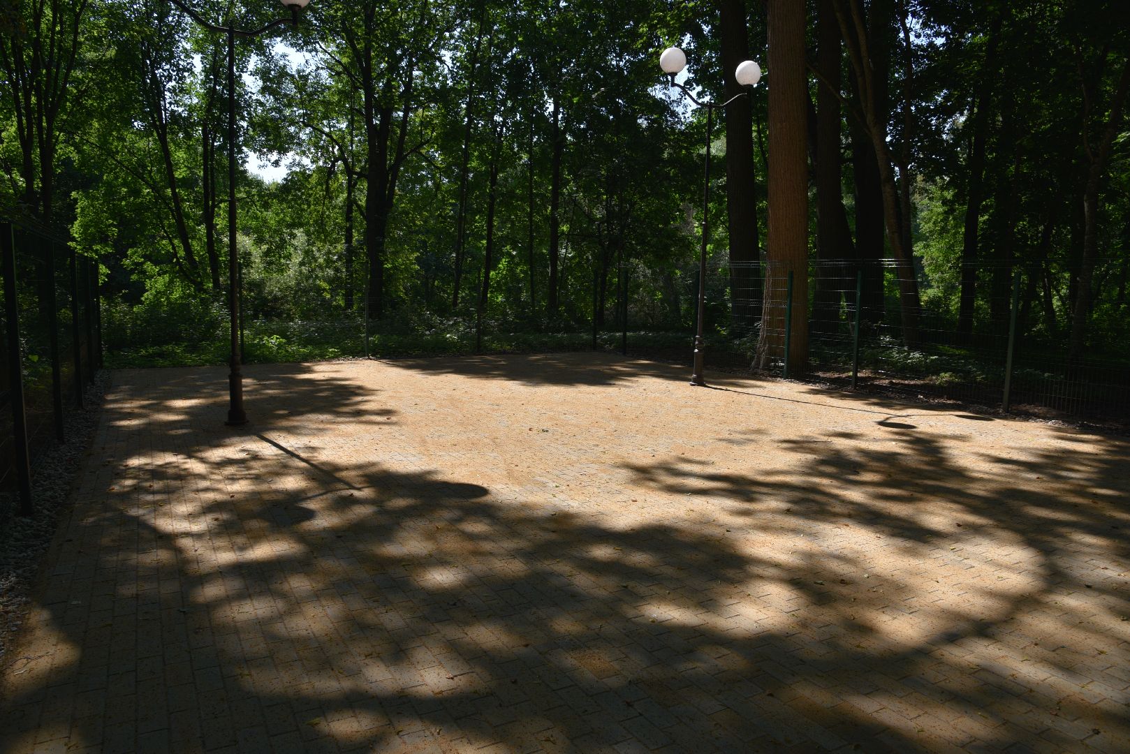 лотошино, лотошинский парк, парки подмосковья, зона для пикника,