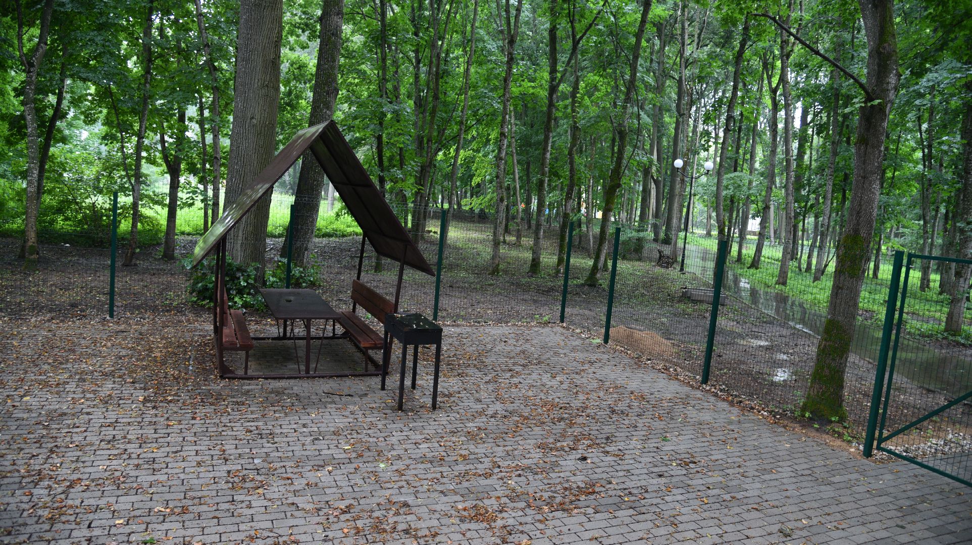 лотошино, лотошинский парк, парки подмосковья, зона для пикника,