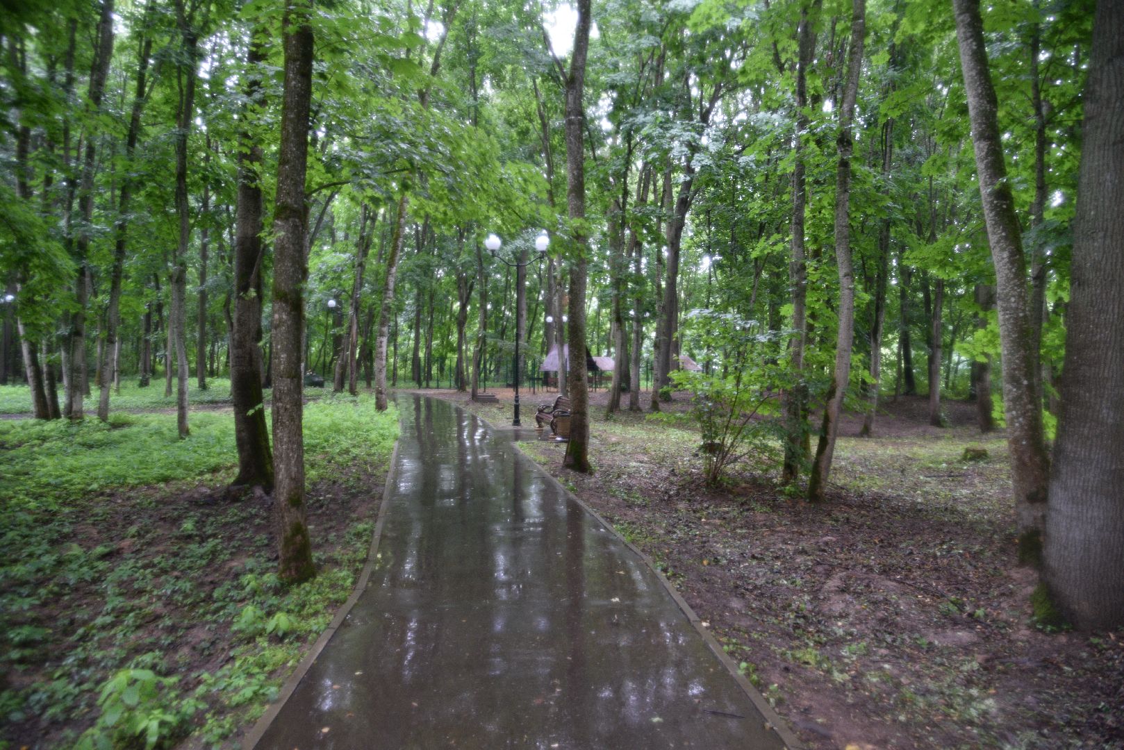 лотошино, лотошинский парк, парки подмосковья, зона для пикника,