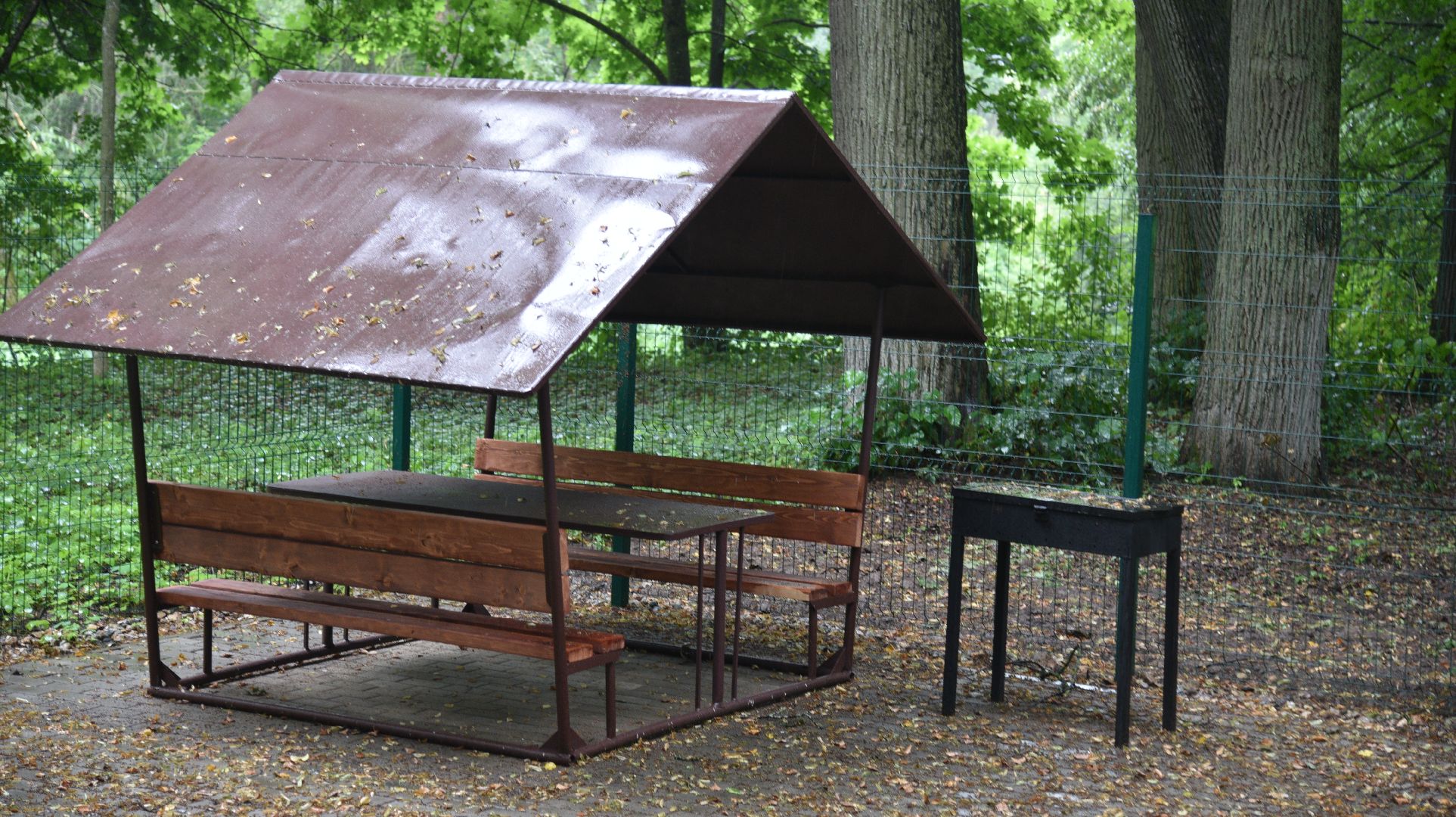 лотошино, лотошинский парк, парки подмосковья, зона для пикника,