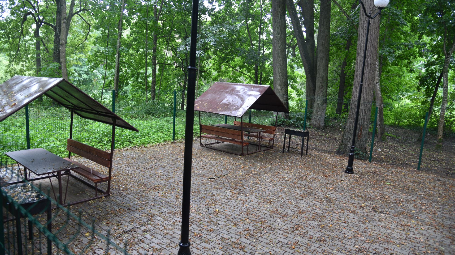 лотошино, лотошинский парк, парки подмосковья, зона для пикника,