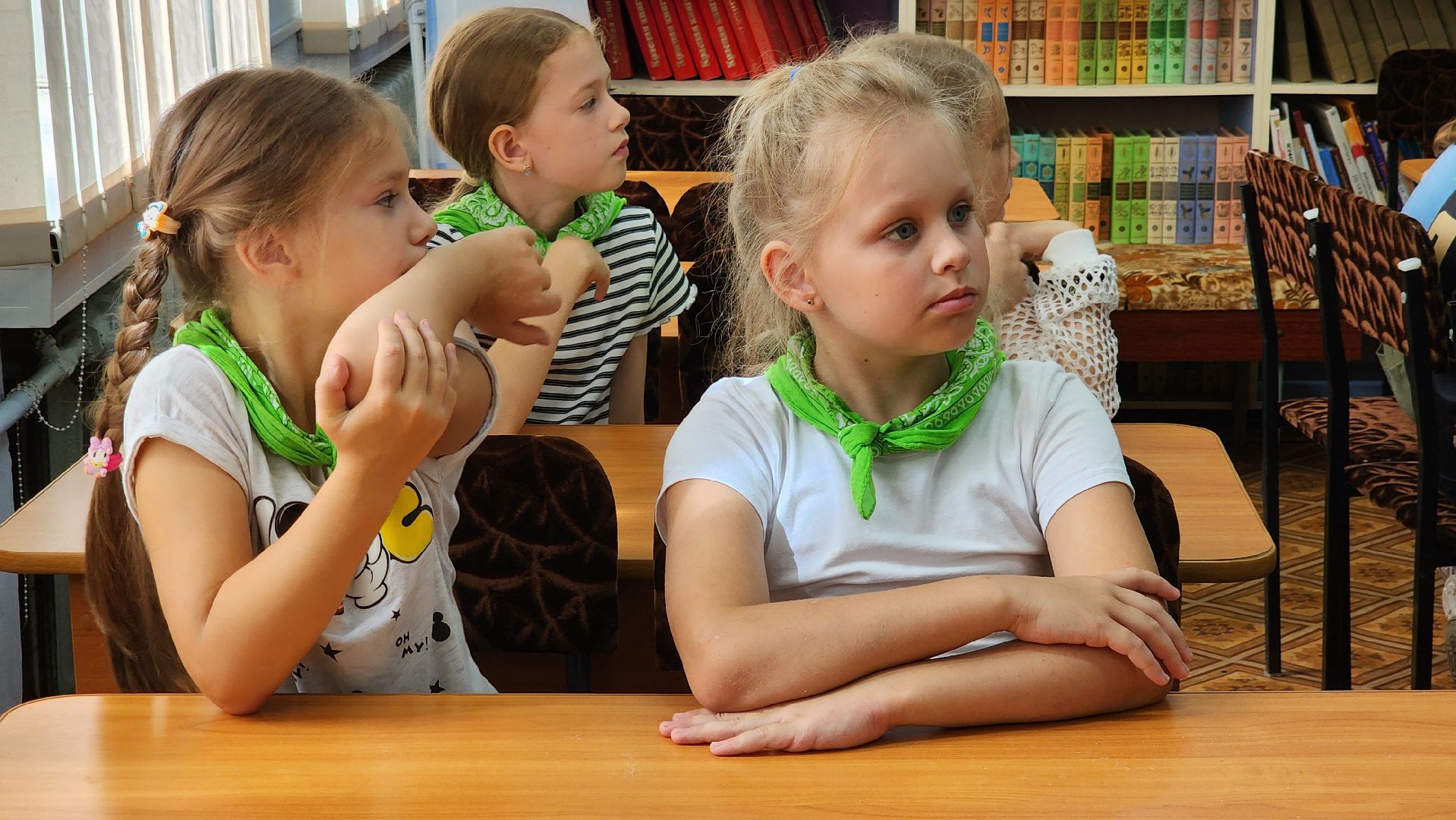 шатура, культурная шатура, библиотекарь, экология, экологический час, охрана природы,