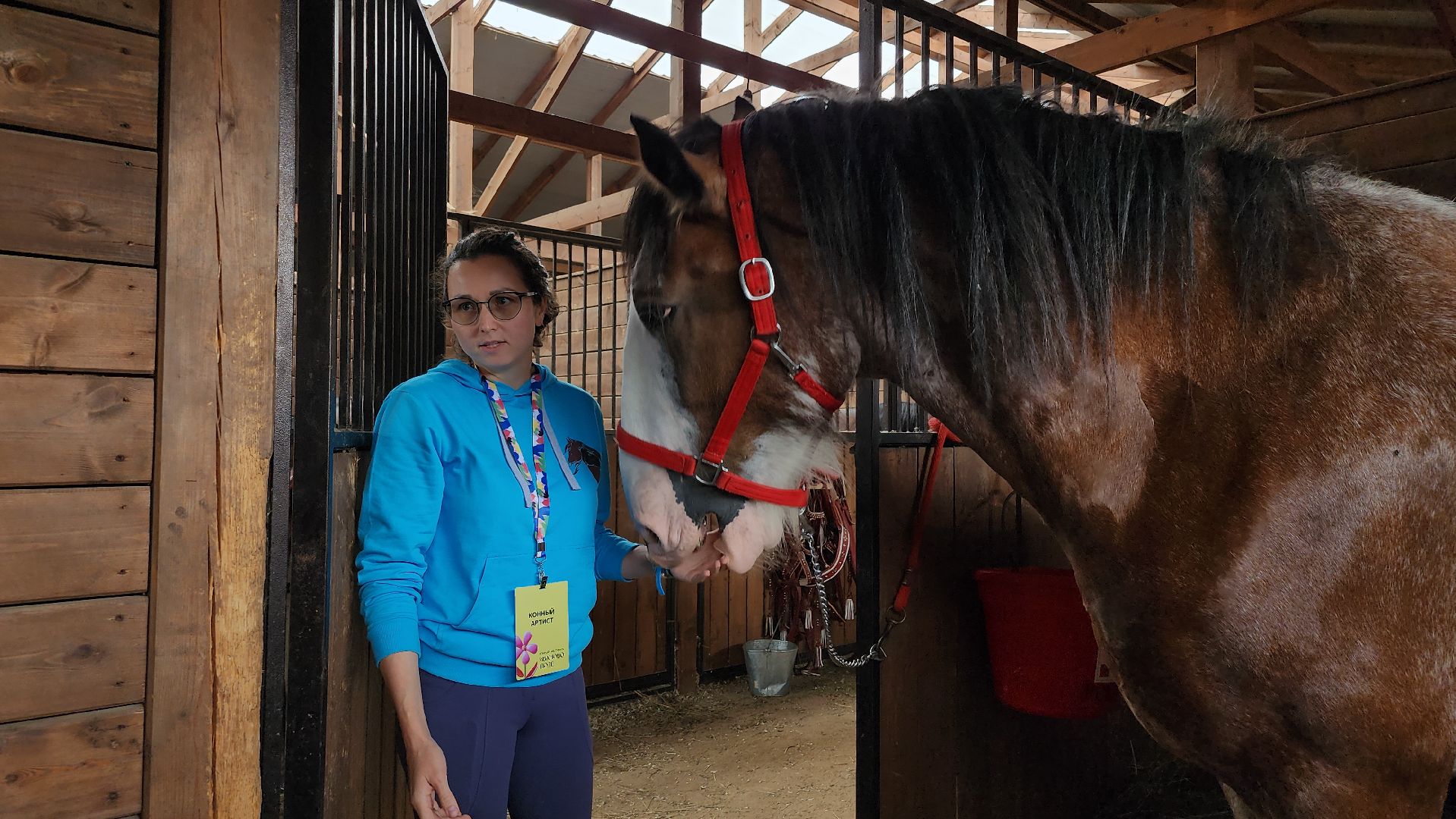 Иваново поле, конный фестиваль, конное шоу, село Ивановское, городской округ Черноголовка,
