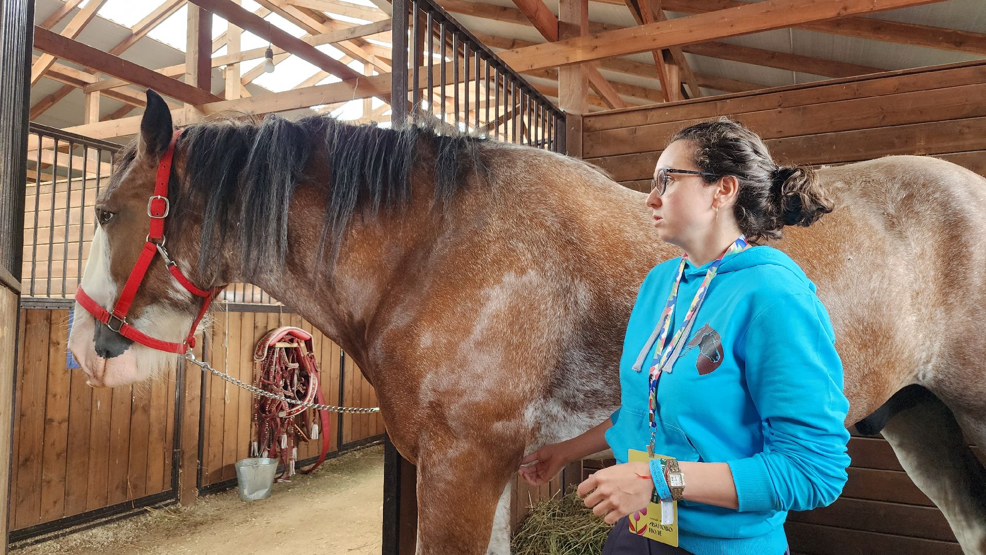 Иваново поле, конный фестиваль, конное шоу, село Ивановское, городской округ Черноголовка,