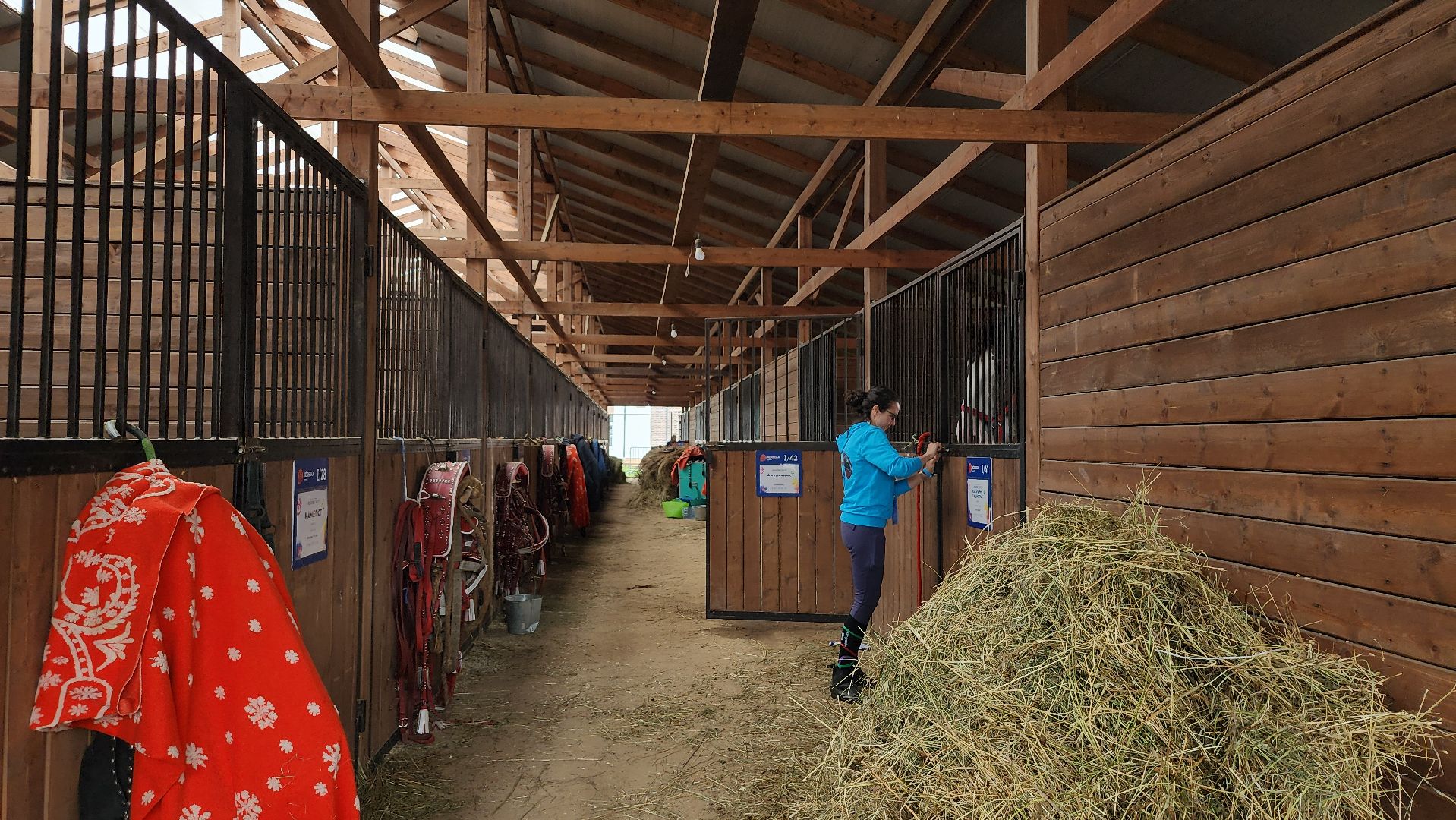 Иваново поле, конный фестиваль, конное шоу, село Ивановское, городской округ Черноголовка,