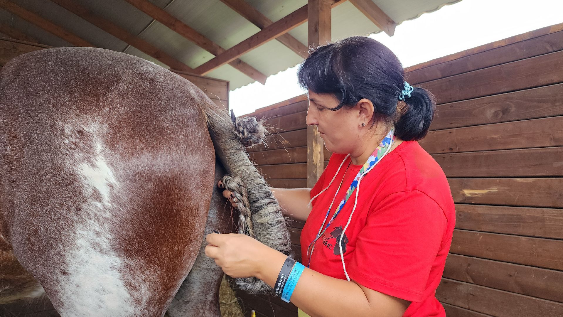 Иваново поле, конный фестиваль, конное шоу, село Ивановское, городской округ Черноголовка,
