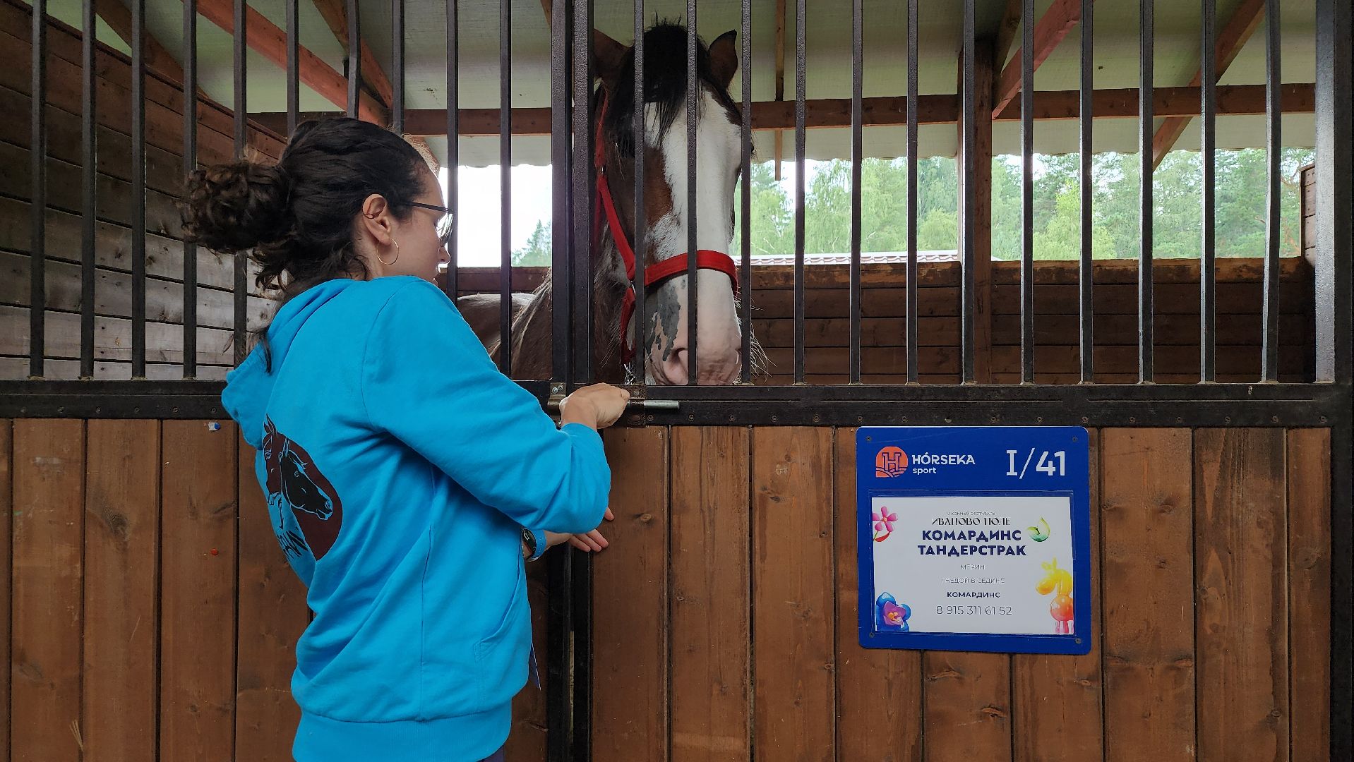 Иваново поле, конный фестиваль, конное шоу, село Ивановское, городской округ Черноголовка,