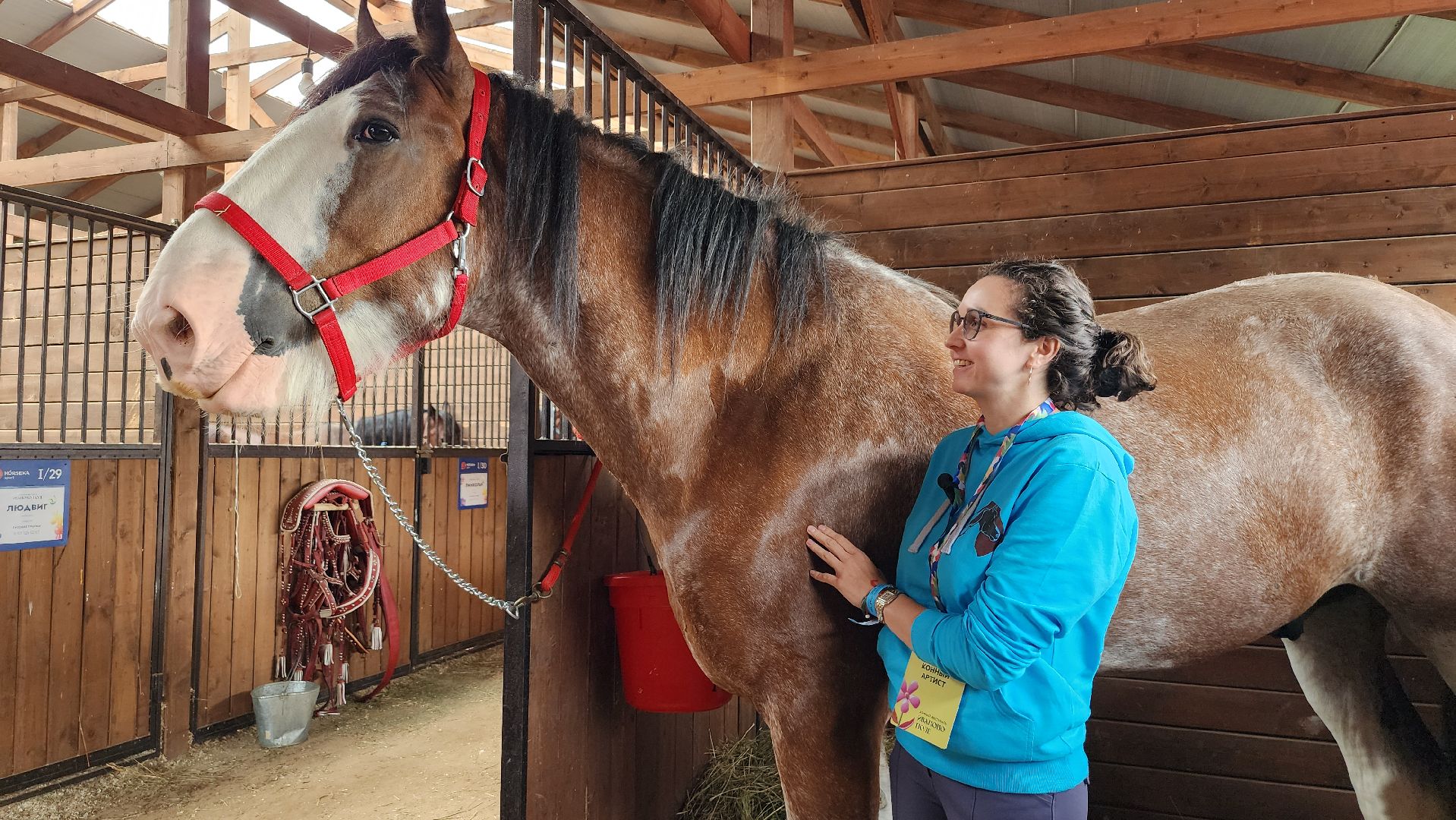 Иваново поле, конный фестиваль, конное шоу, село Ивановское, городской округ Черноголовка,