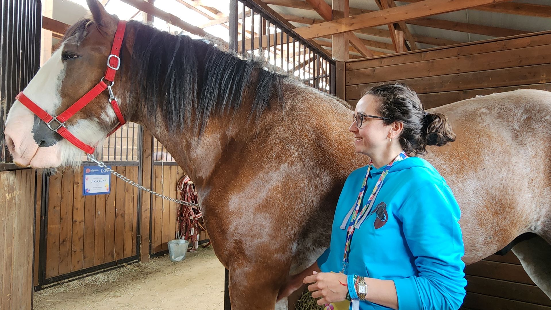 Иваново поле, конный фестиваль, конное шоу, село Ивановское, городской округ Черноголовка,