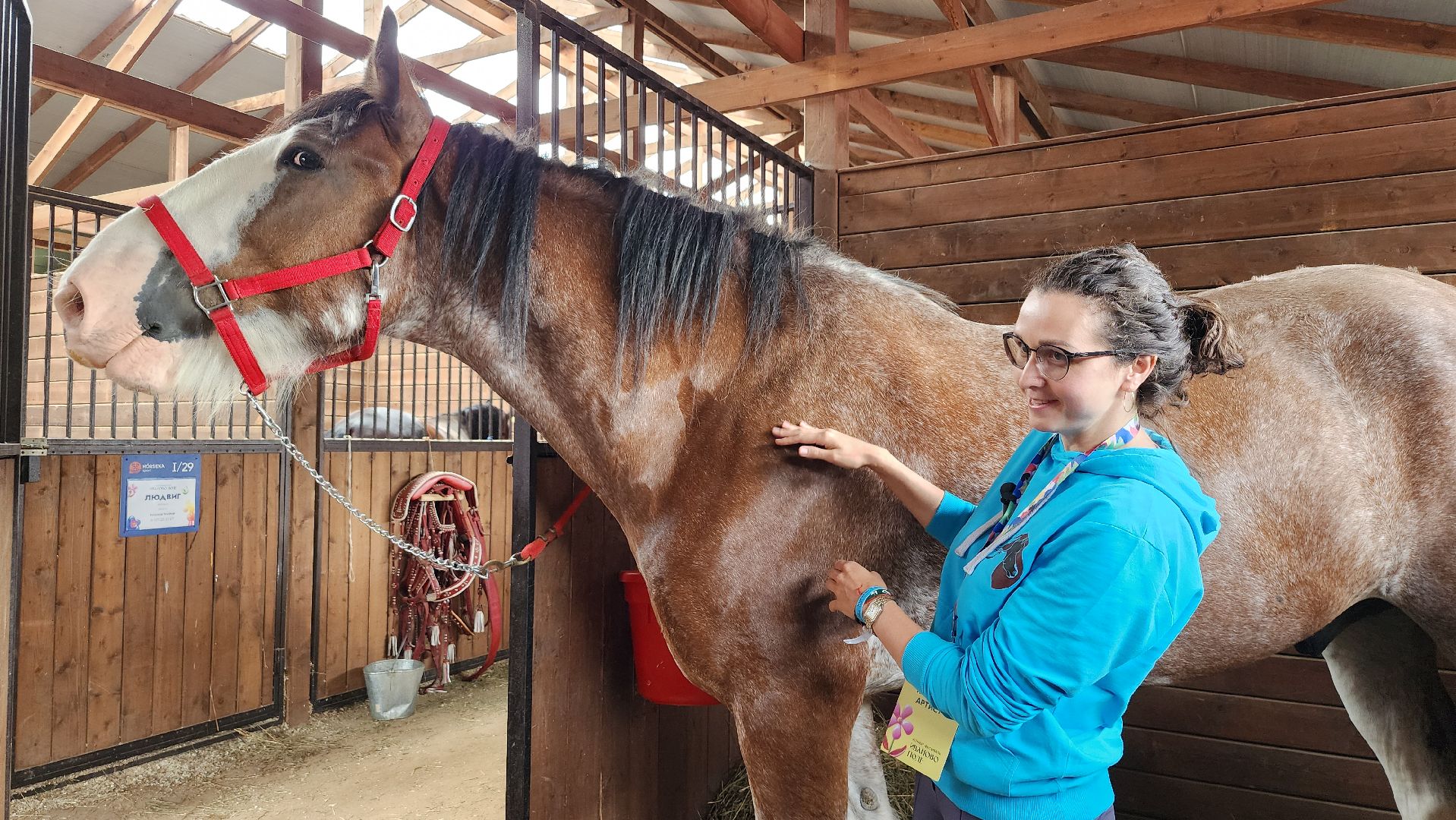 Иваново поле, конный фестиваль, конное шоу, село Ивановское, городской округ Черноголовка,