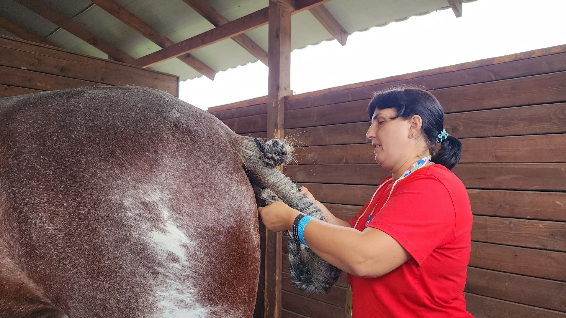 Иваново поле, конный фестиваль, конное шоу, село Ивановское, городской округ Черноголовка,