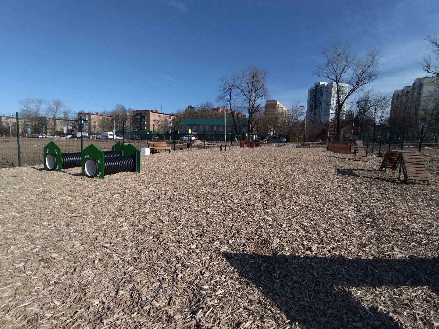 Собаки, животные, Мытищи, площадка для выгула, перемены