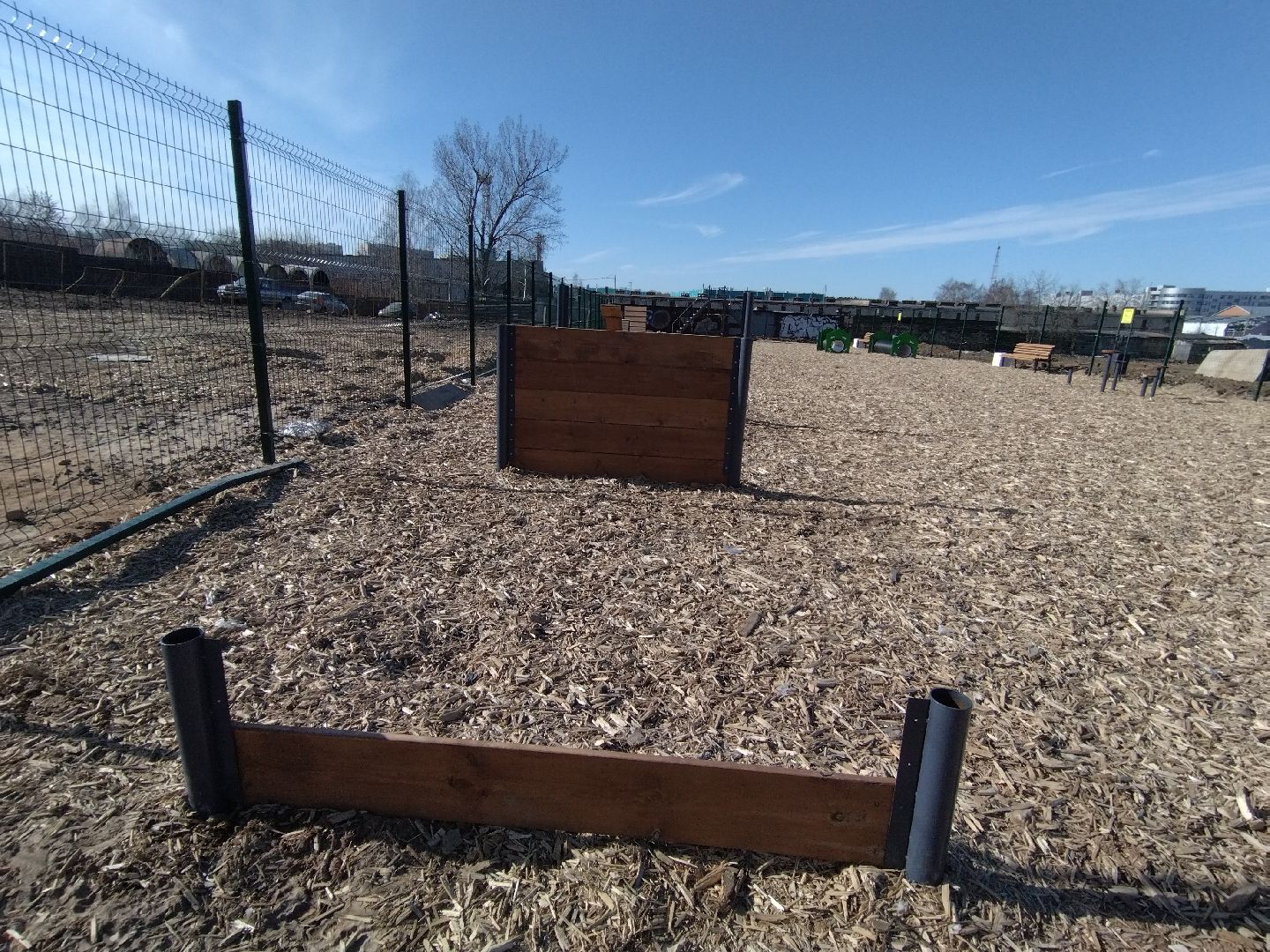 Собаки, животные, Мытищи, площадка для выгула, перемены