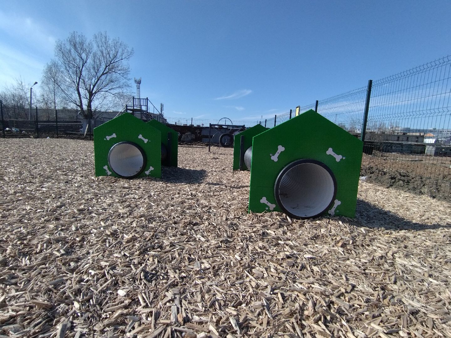 Собаки, животные, Мытищи, площадка для выгула, перемены