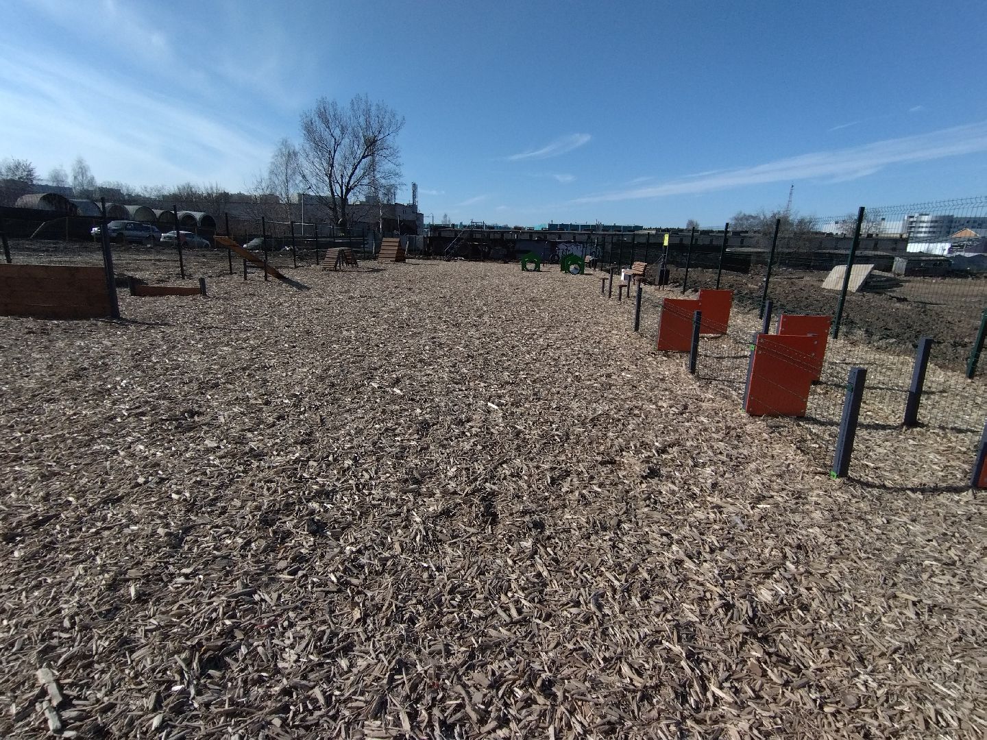 Собаки, животные, Мытищи, площадка для выгула, перемены