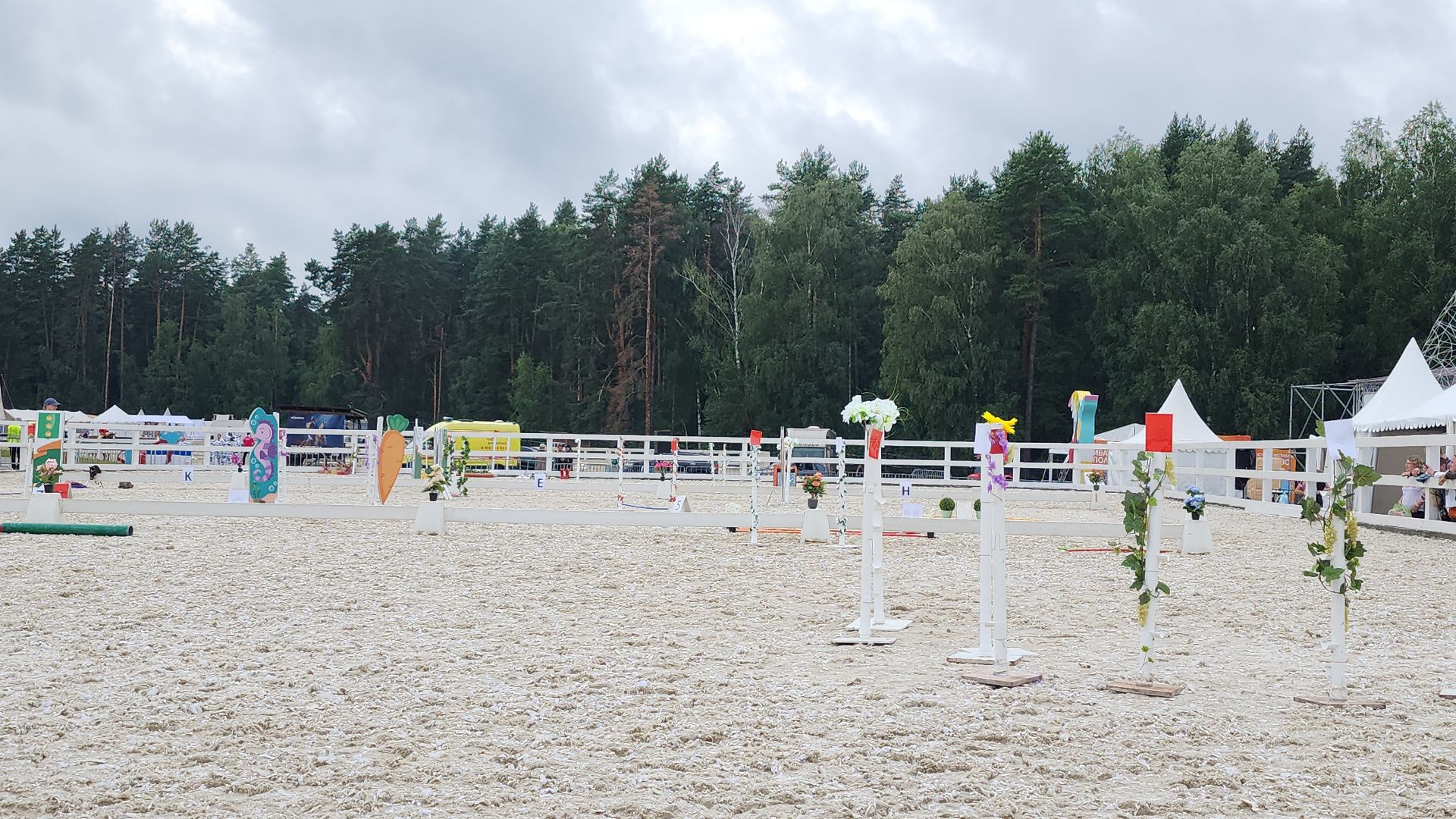 Иваново поле, конный фестиваль, хоббихорсинг, село Ивановское, городской округ Черноголовка,