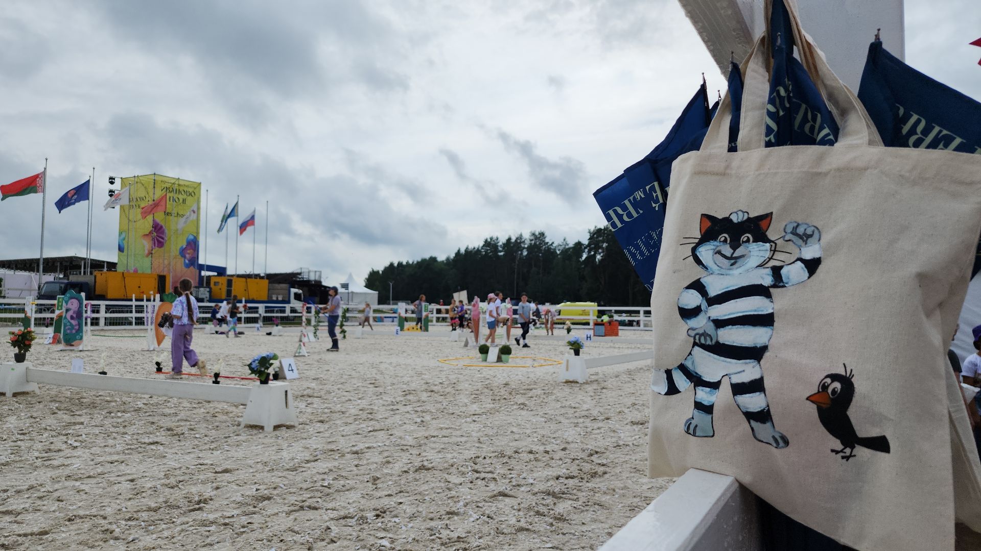 Иваново поле, конный фестиваль, хоббихорсинг, село Ивановское, городской округ Черноголовка,