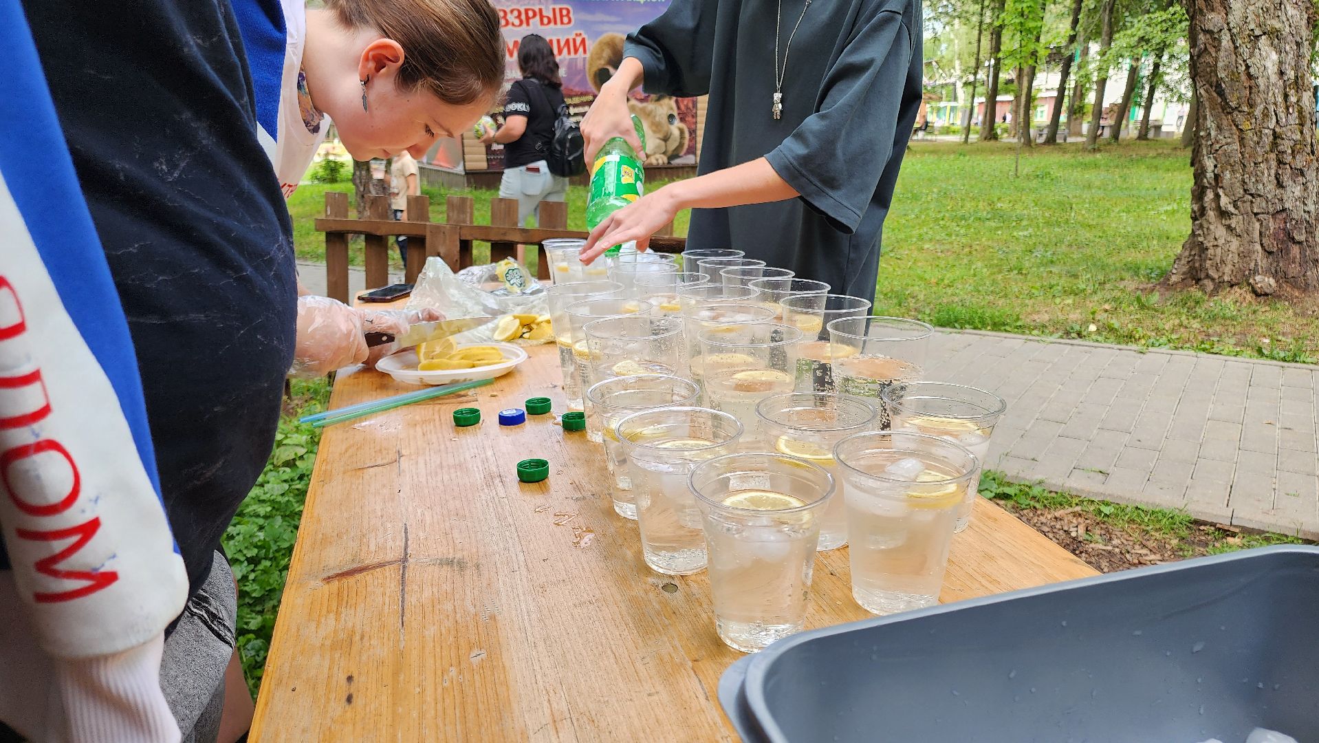 Кашира, Городской парк, мастер-класс, бургеры, котлета, булка, лимонад, ночь в парке, волонтеры,