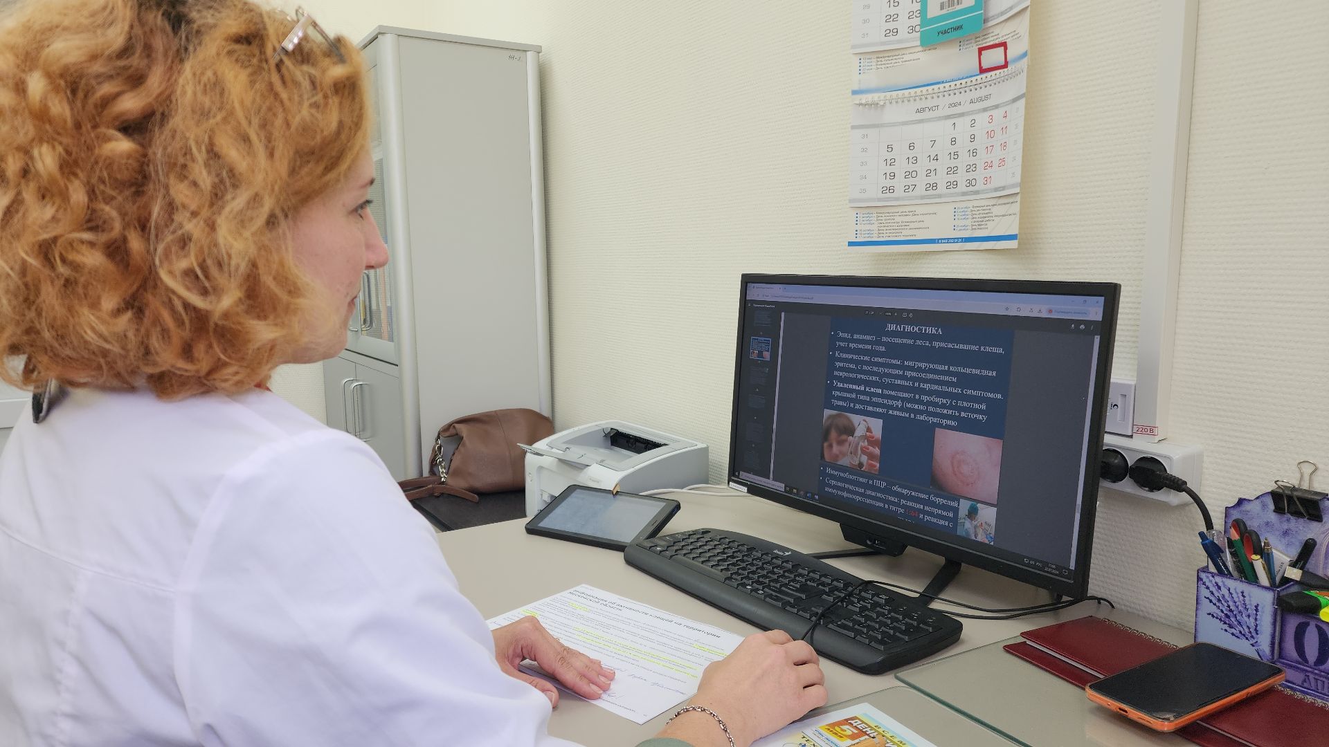 электросталь, эцгб, горбольница, врач, врач-эпидемиолог, клещи, боррелиоз, болезнь лайма,