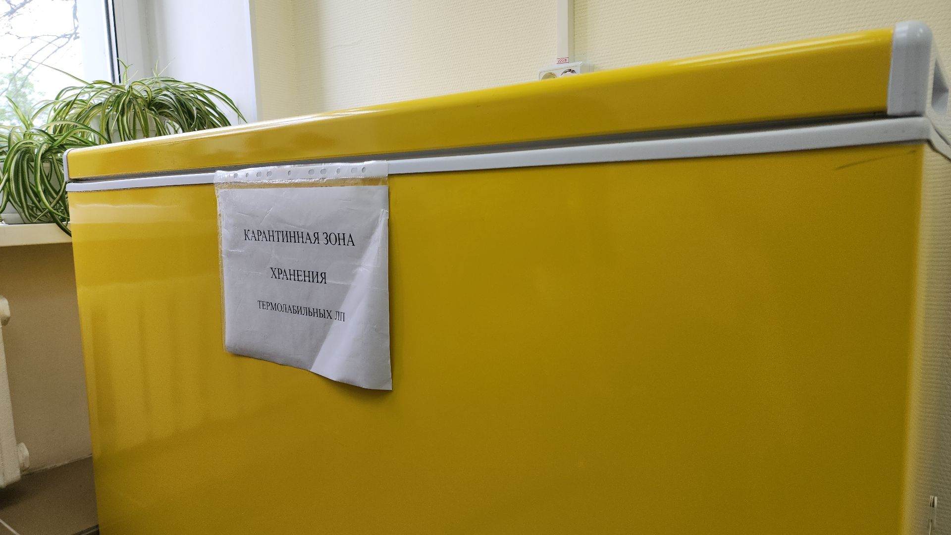 электросталь, эцгб, горбольница, врач, врач-эпидемиолог, клещи, боррелиоз, болезнь лайма,