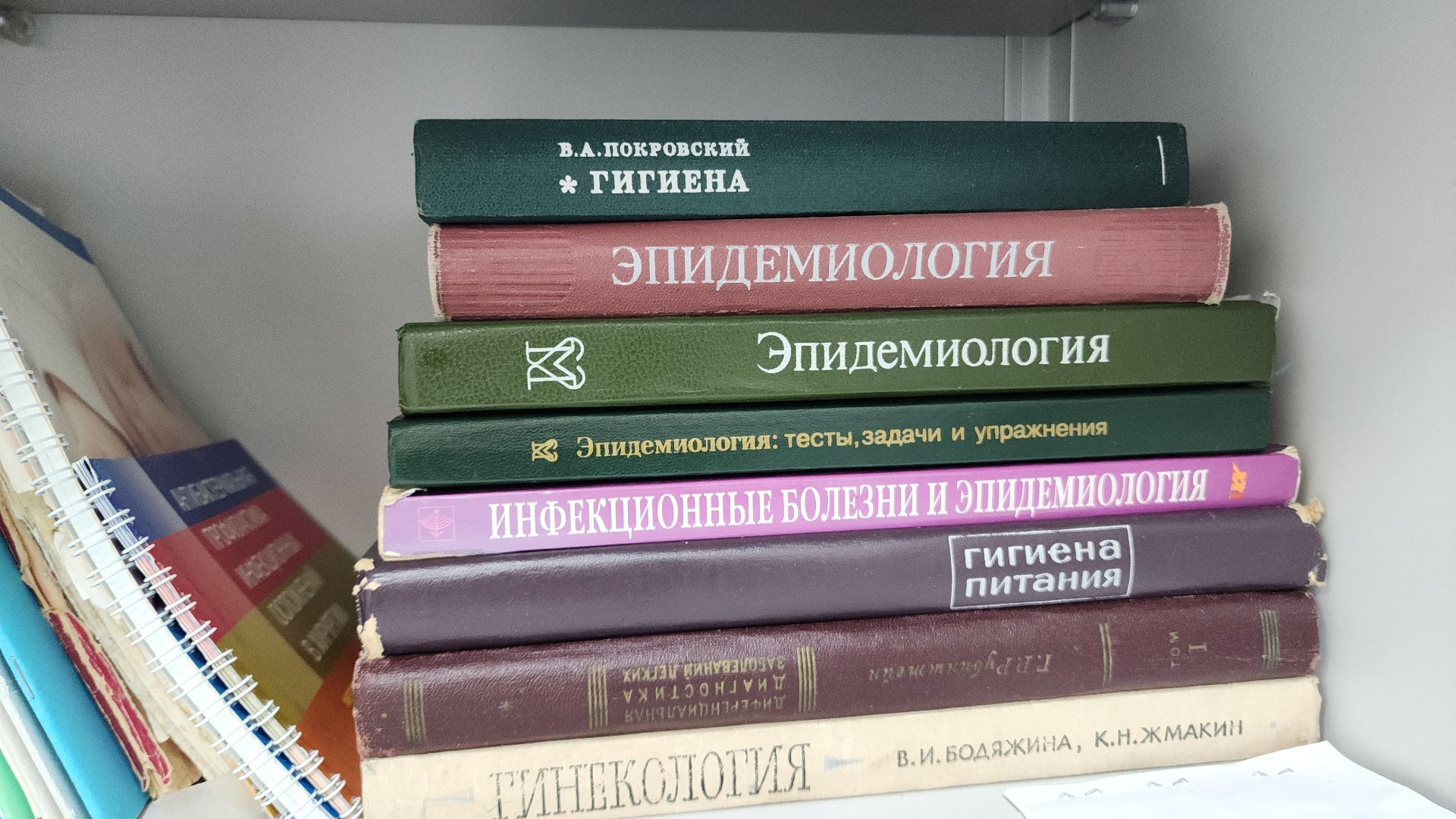 электросталь, эцгб, горбольница, врач, врач-эпидемиолог, клещи, боррелиоз, болезнь лайма,