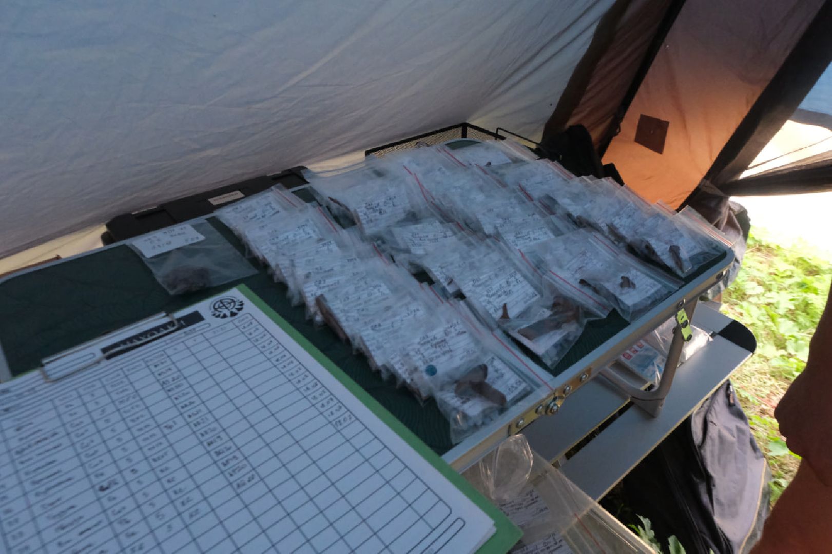 пущино, серпухов, археологи, археологические находки,