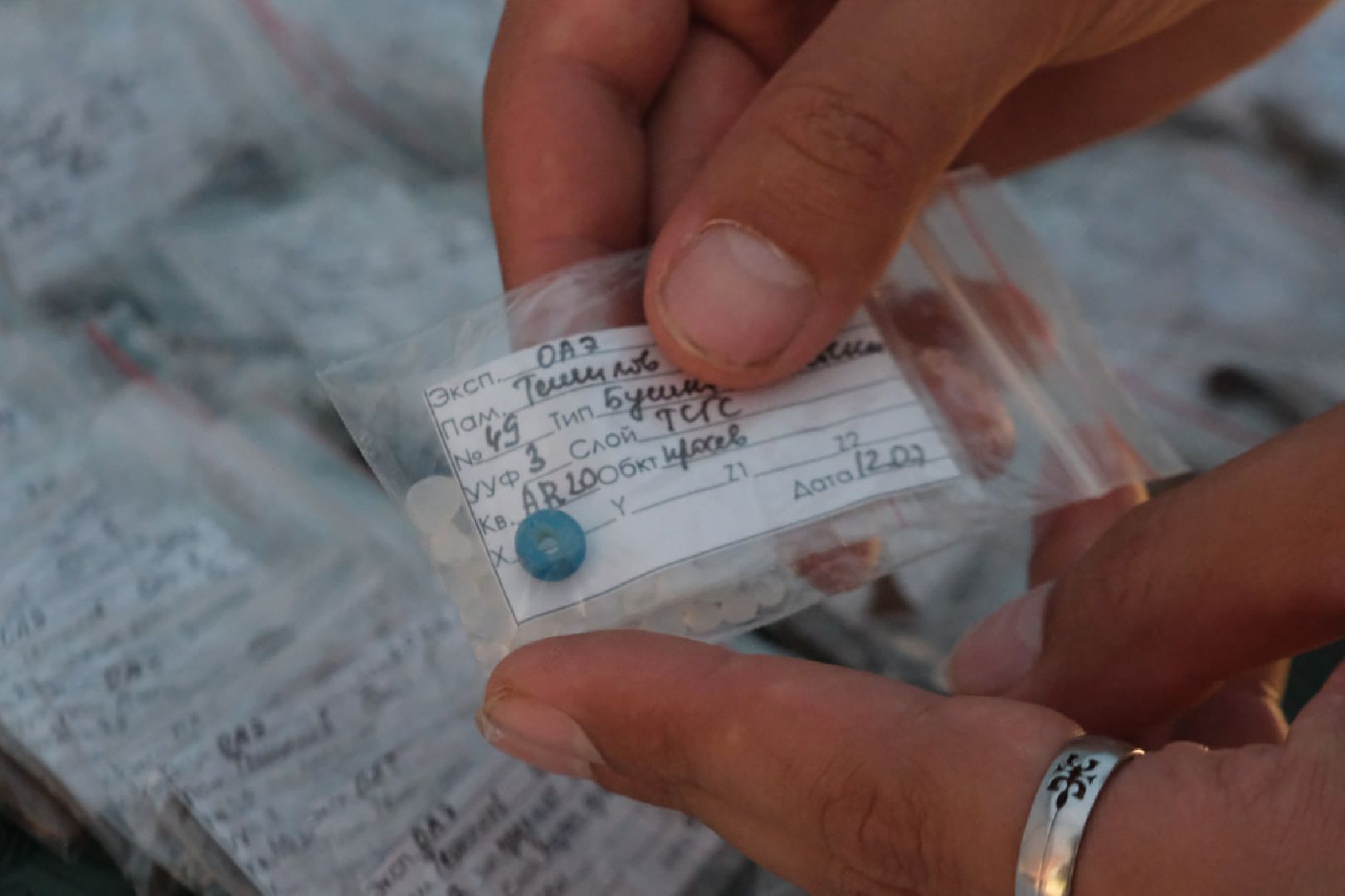 пущино, серпухов, археологи, археологические находки,