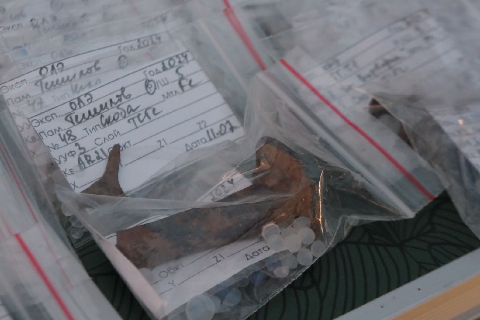 пущино, серпухов, археологи, археологические находки,