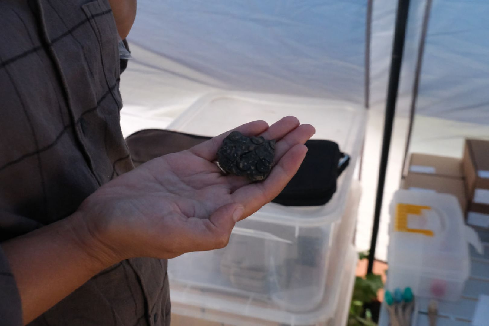 пущино, серпухов, археологи, археологические находки,