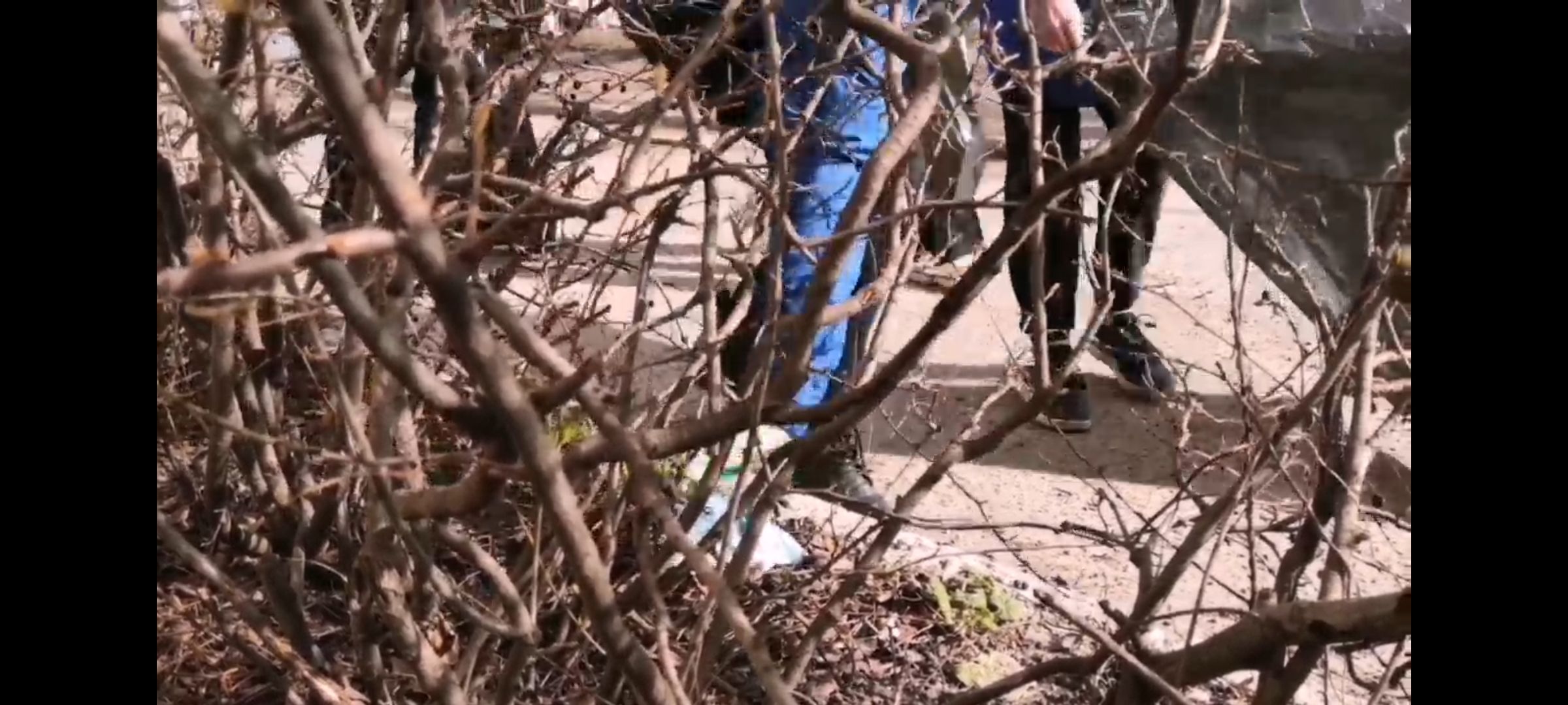 Кашира, экологи, акция