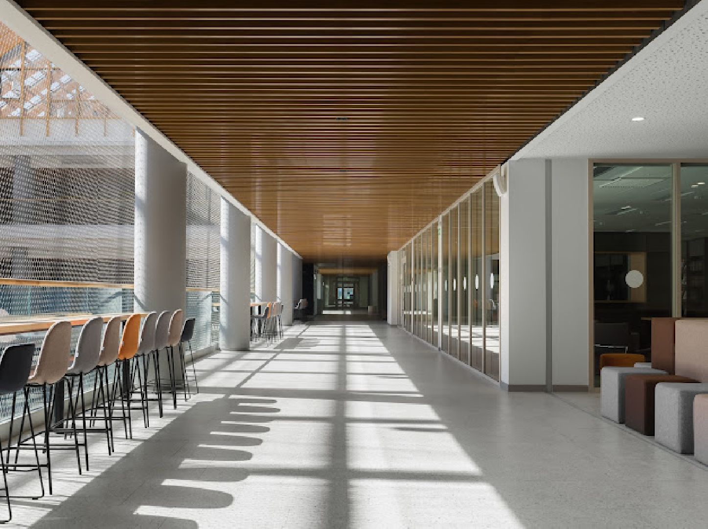 строительство школы, ново-молоково, школа на 825 мест,школа в молоково, ленинский округ,современная школа,