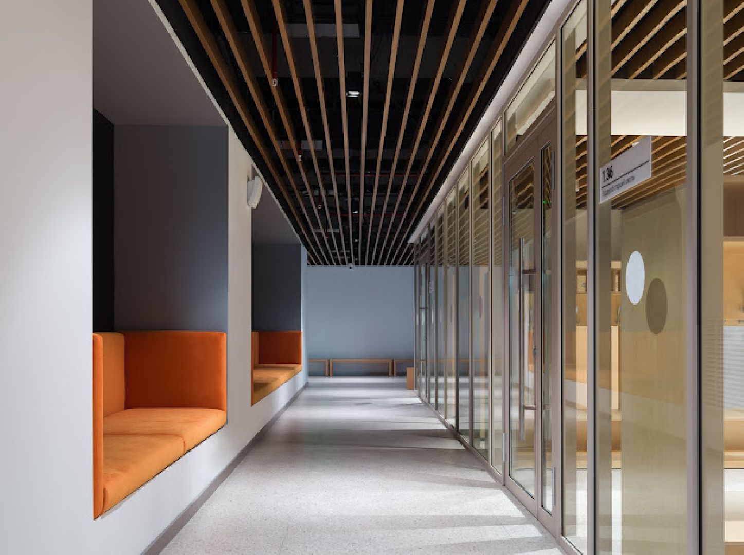 строительство школы, ново-молоково, школа на 825 мест,школа в молоково, ленинский округ,современная школа,