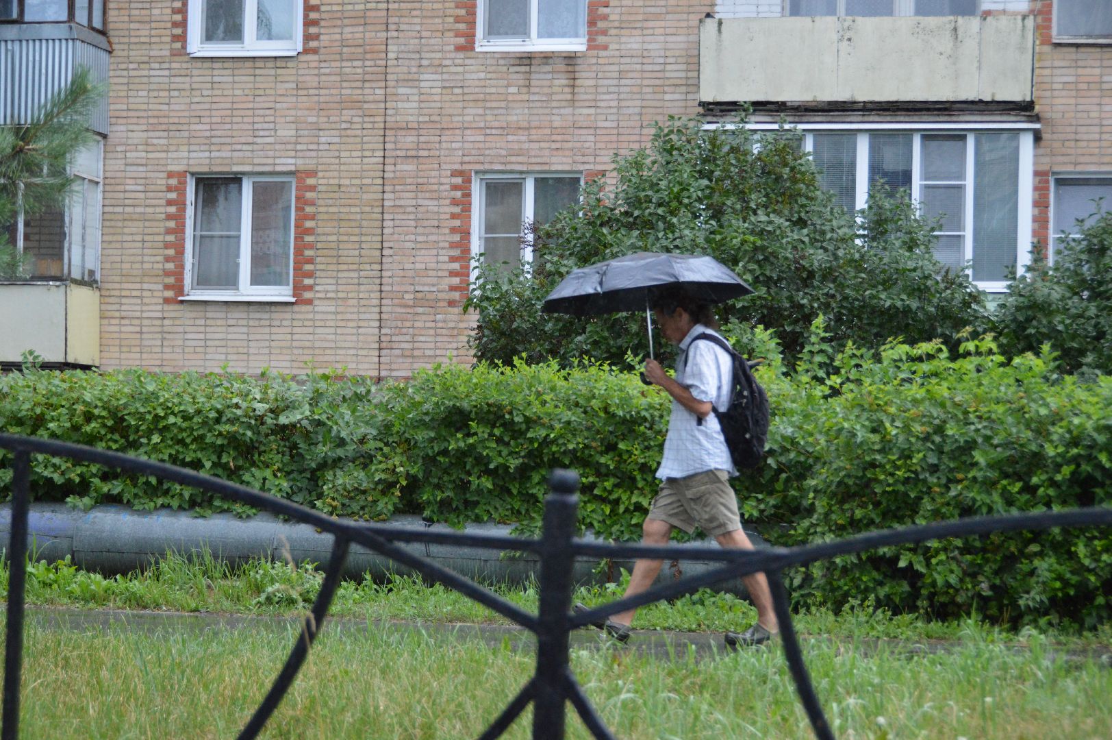 шатура, дожди, погода, осадки,