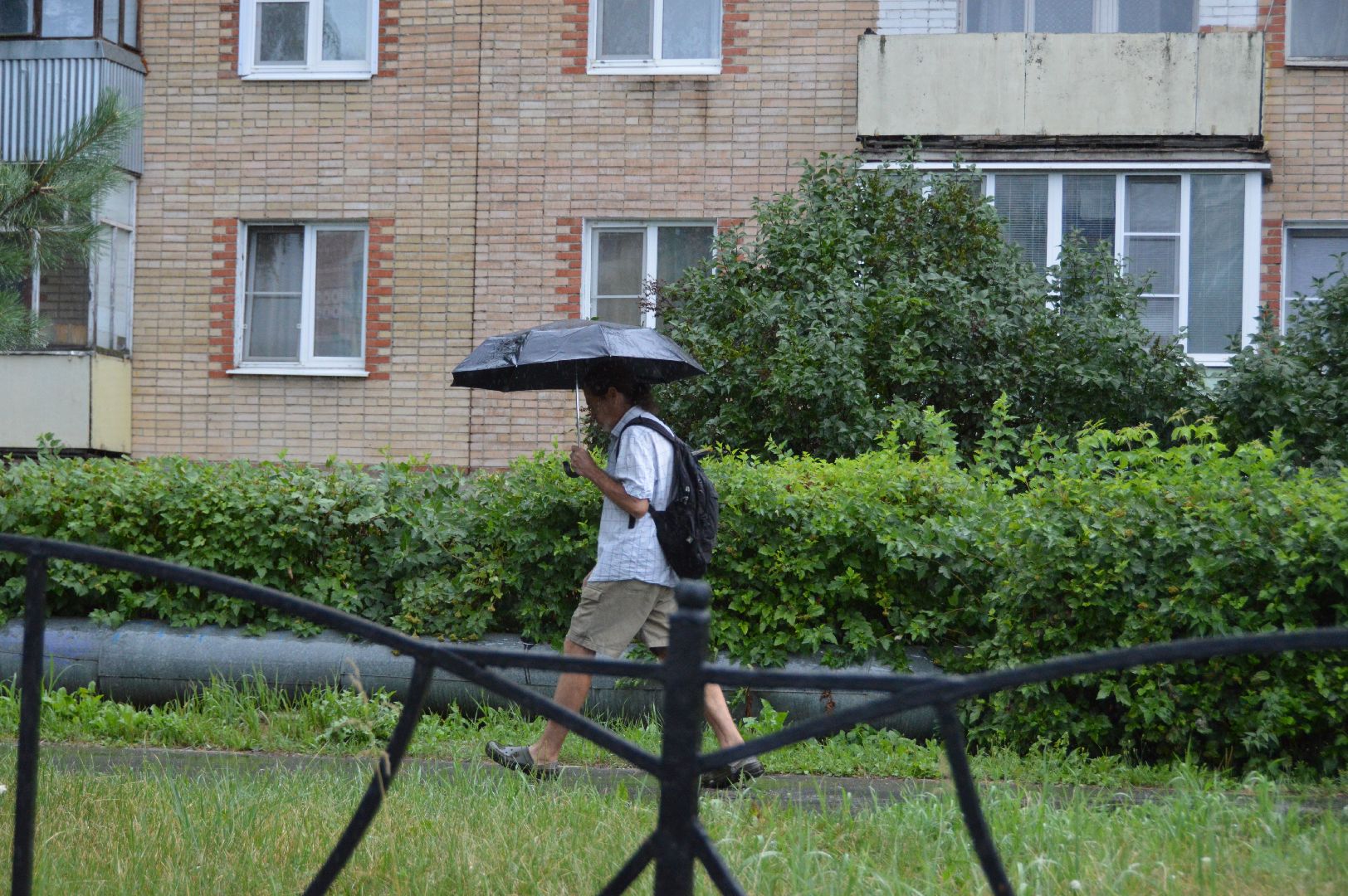 шатура, дожди, погода, осадки,