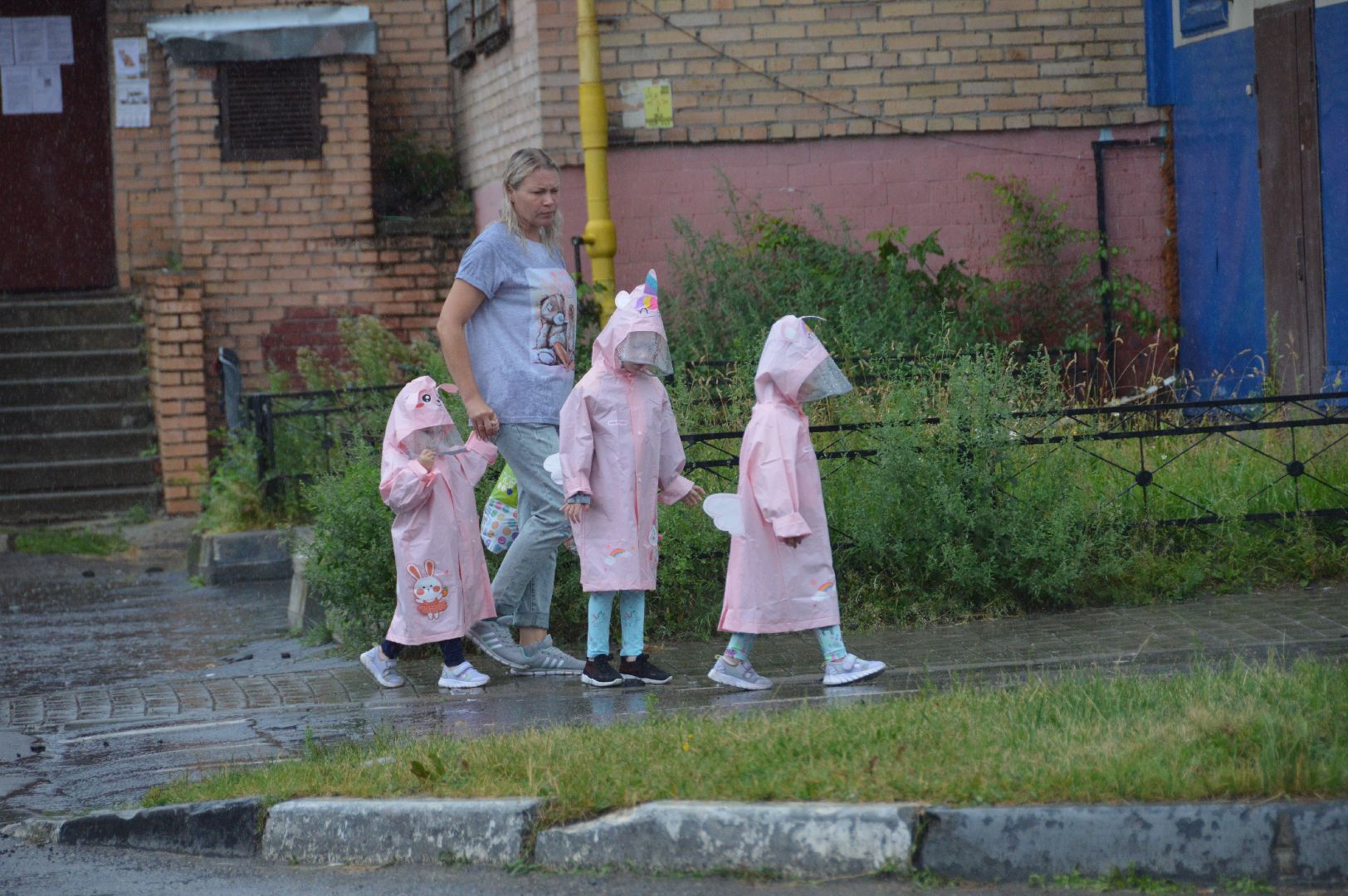 шатура, дожди, погода, осадки,