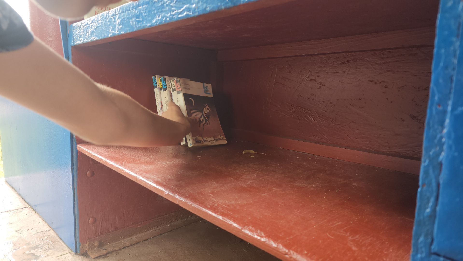 Павловский Посад, Городской округ Павловский Посад, Книги, Парк, Литература,