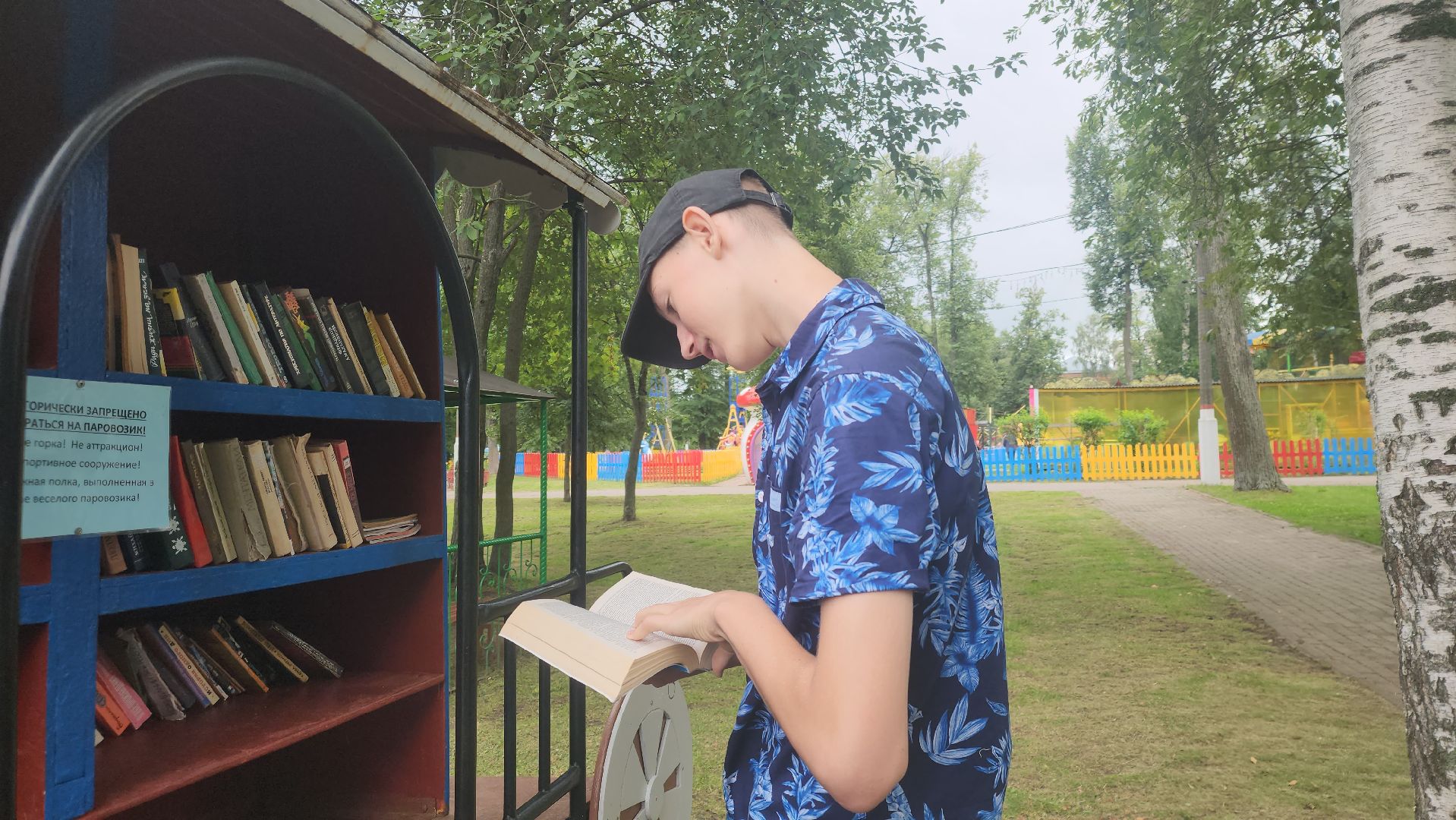 Павловский Посад, Городской округ Павловский Посад, Книги, Парк, Литература,