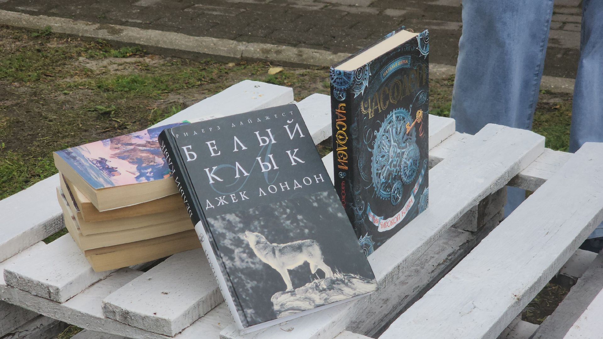 Павловский Посад, Городской округ Павловский Посад, Книги, Парк, Литература,