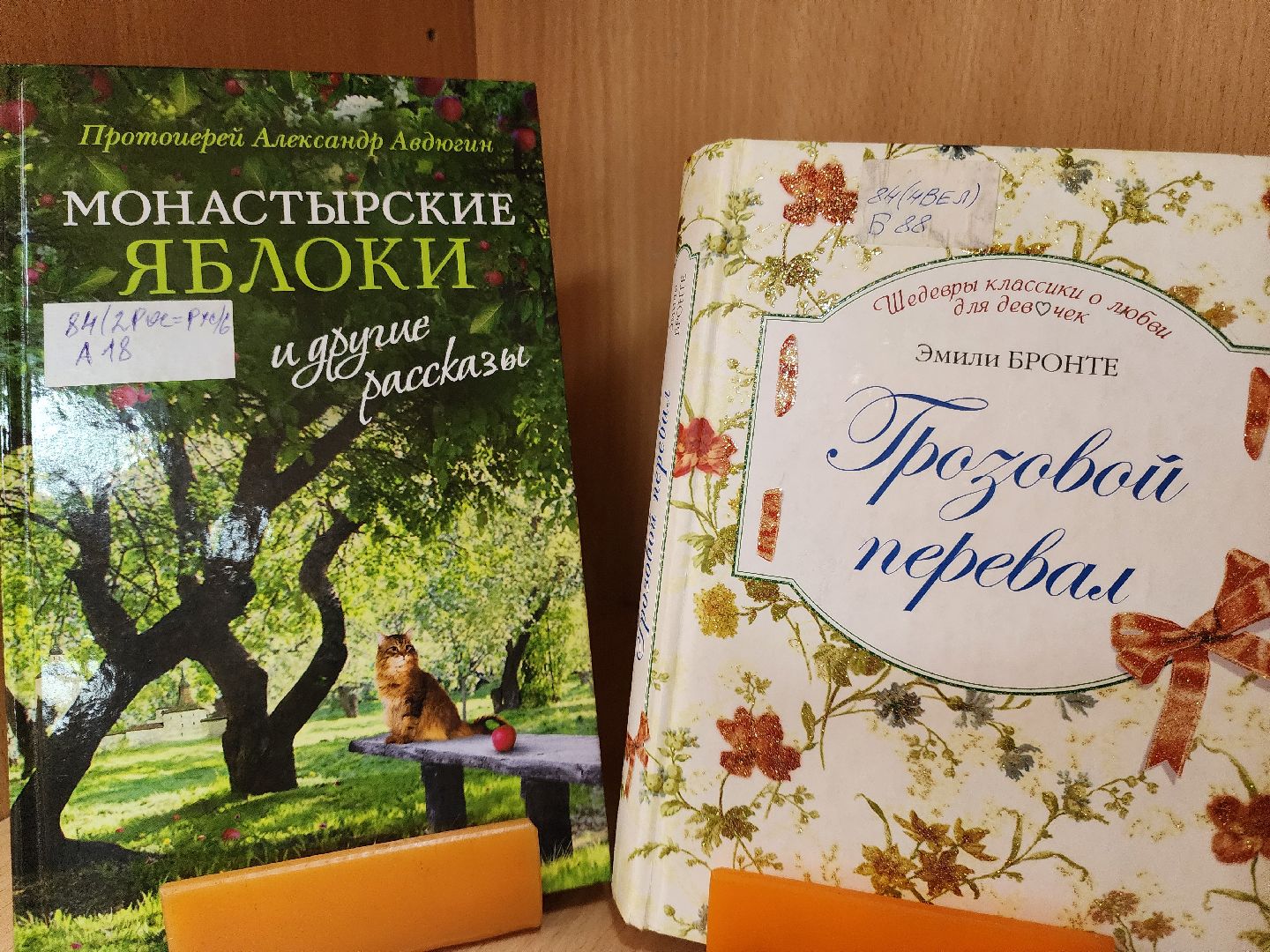 Подольск, Библиотека, Рекомендации читателей, Чтение, Выставка,