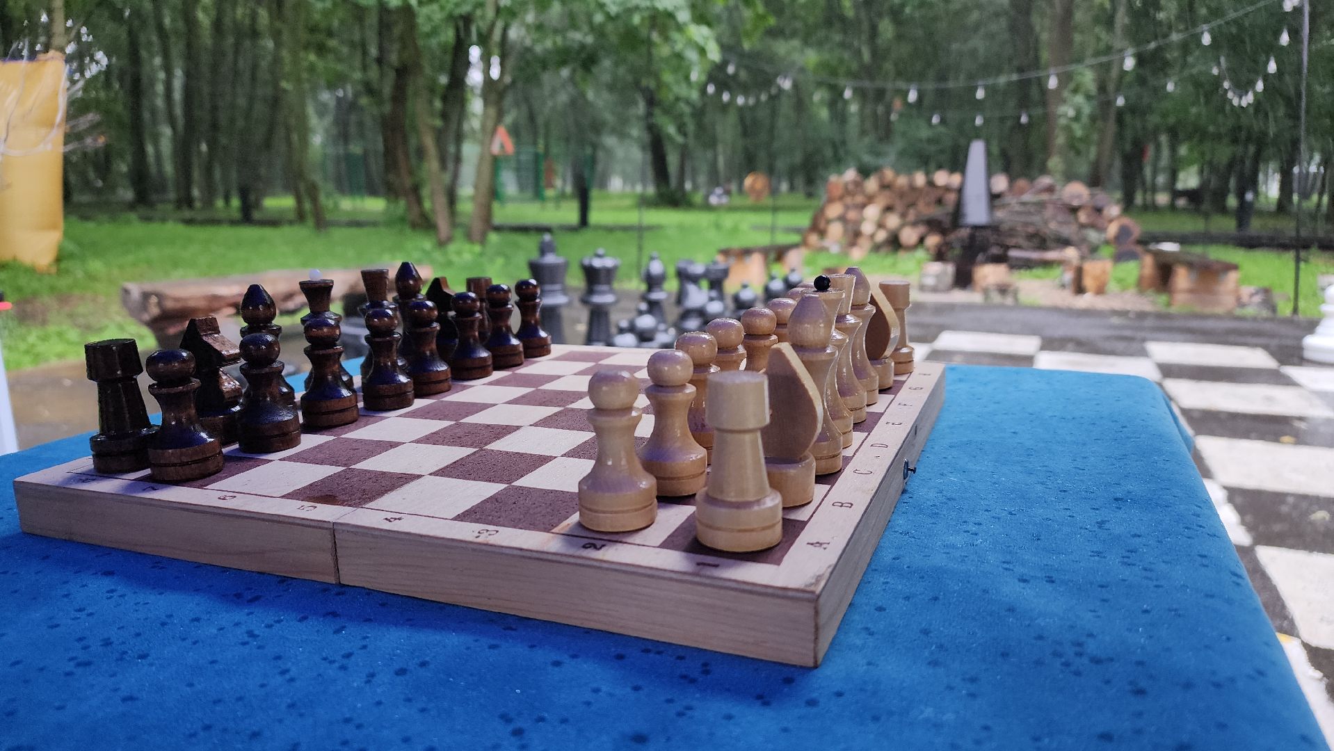 турнир по шахматам, Лосино-Петровский, парки Подмосковья,