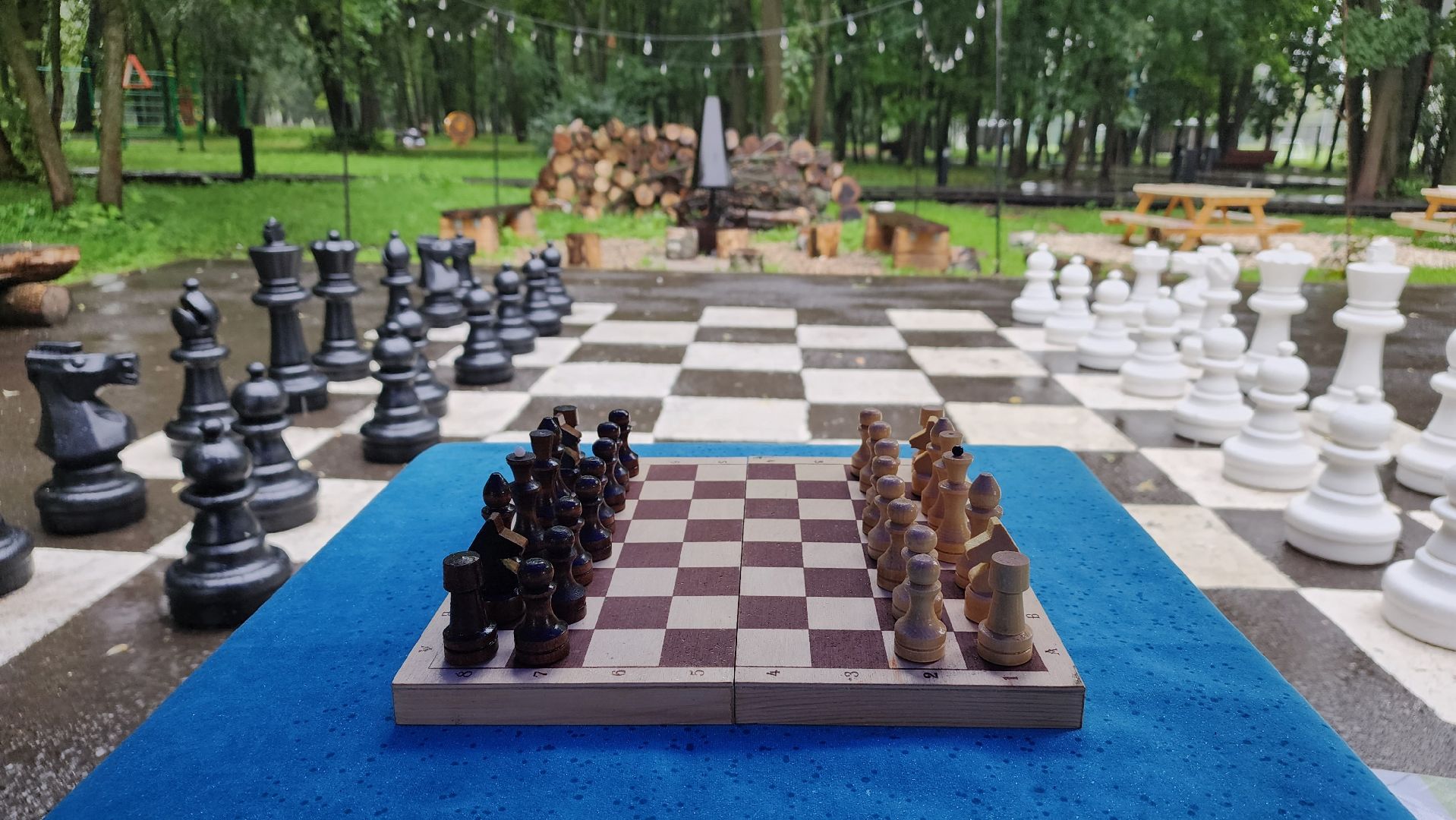 турнир по шахматам, Лосино-Петровский, парки Подмосковья,